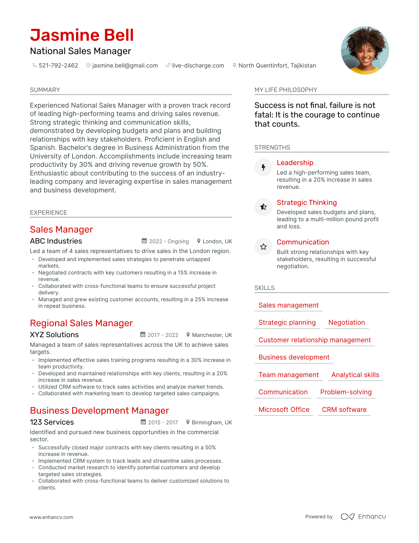 National Sales Manager resume example
