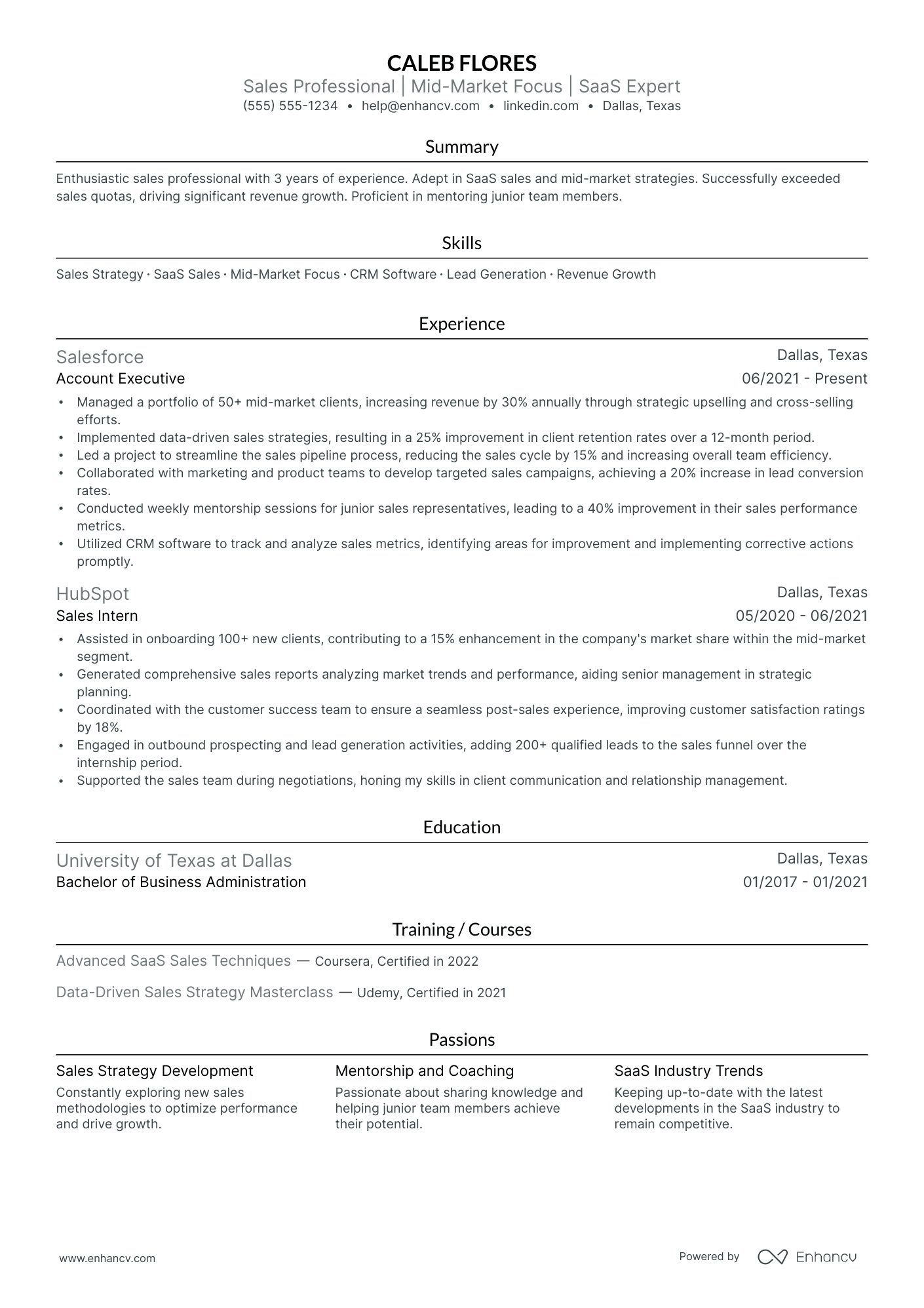 B2B Sales Director resume example