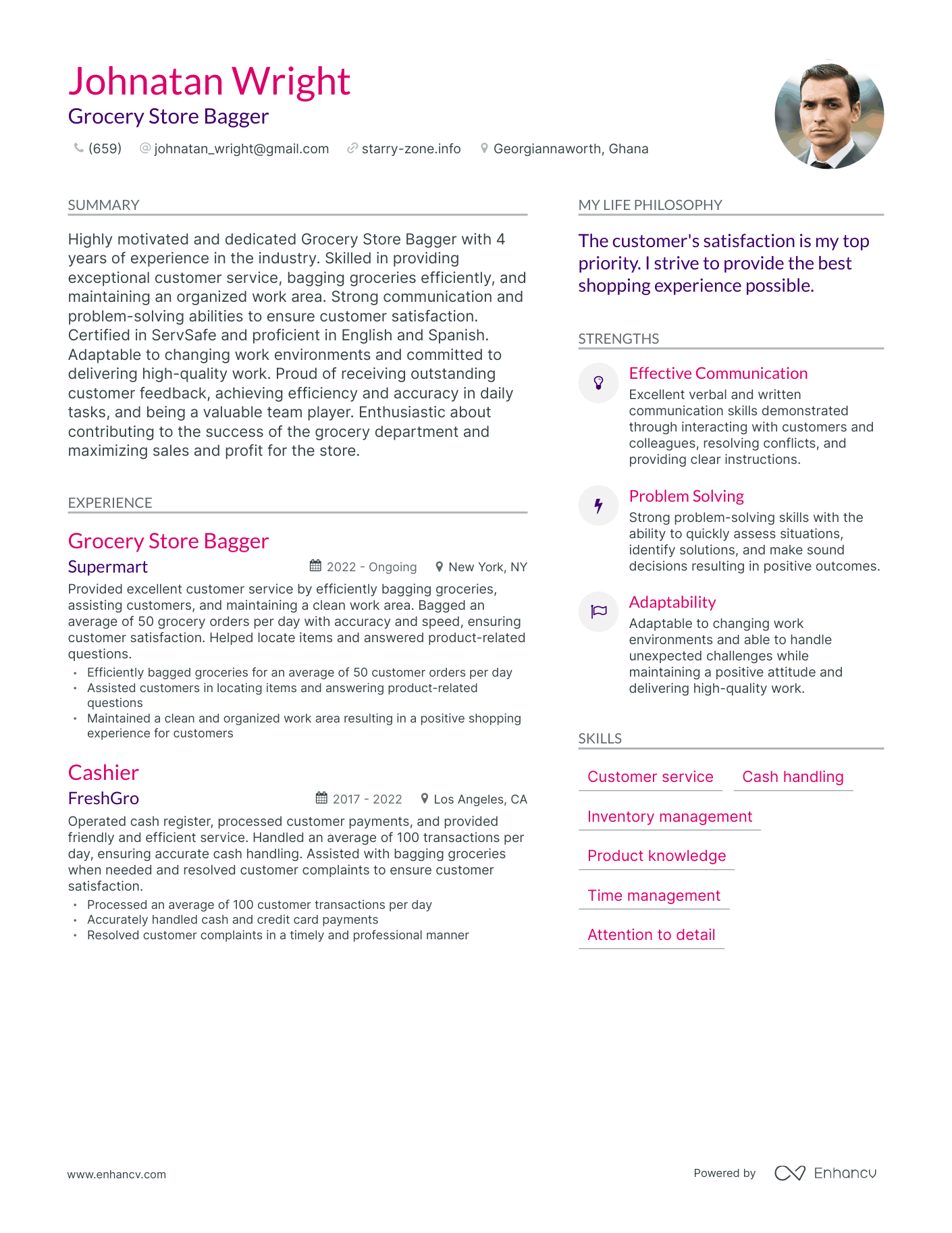 Grocery Store Bagger resume example