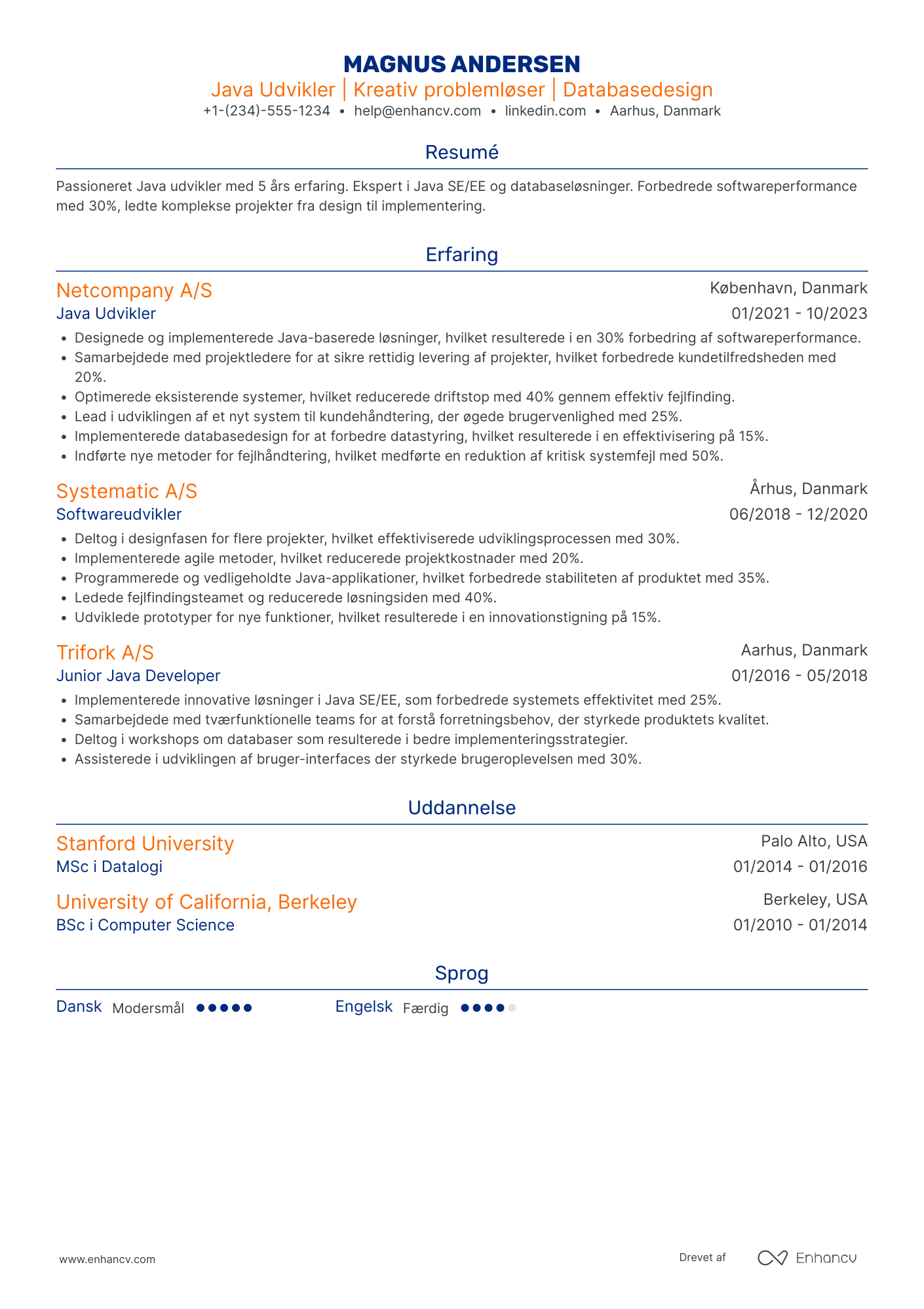 Java Udvikler CV