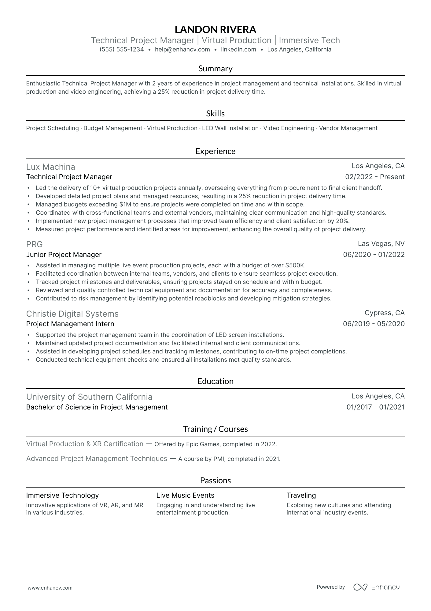 Technical Project Manager Director resume example