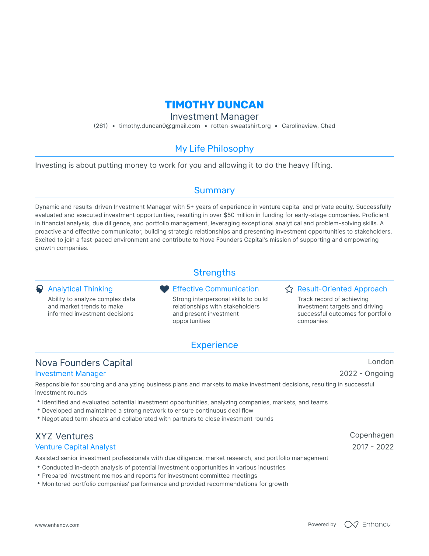 Modern Investment Manager Resume Example