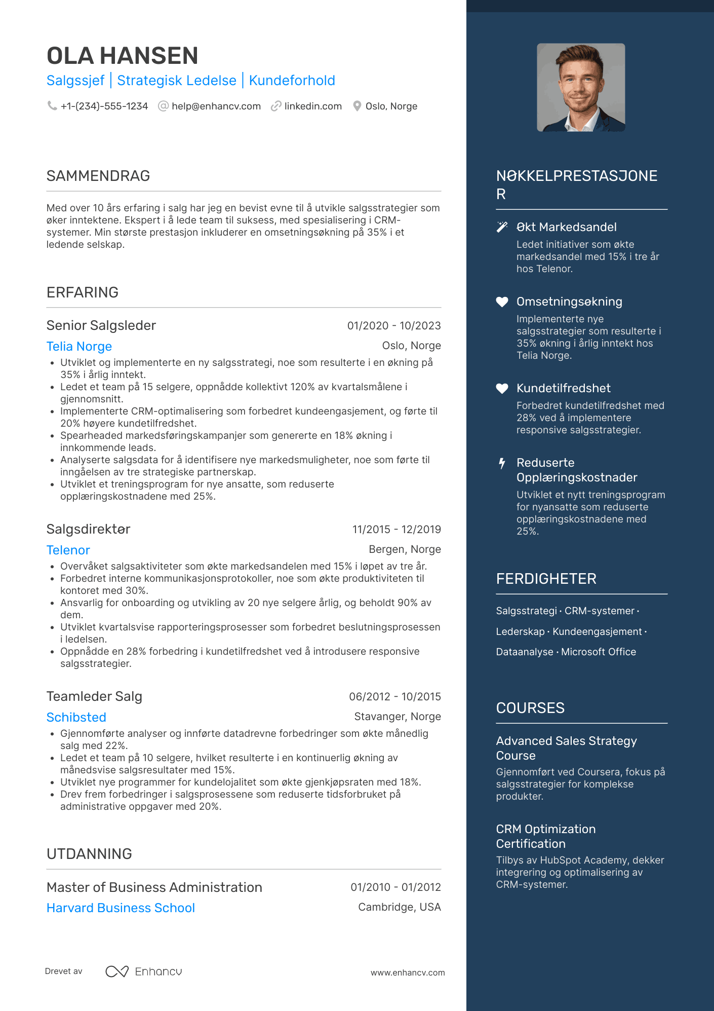 Salgssjef CV