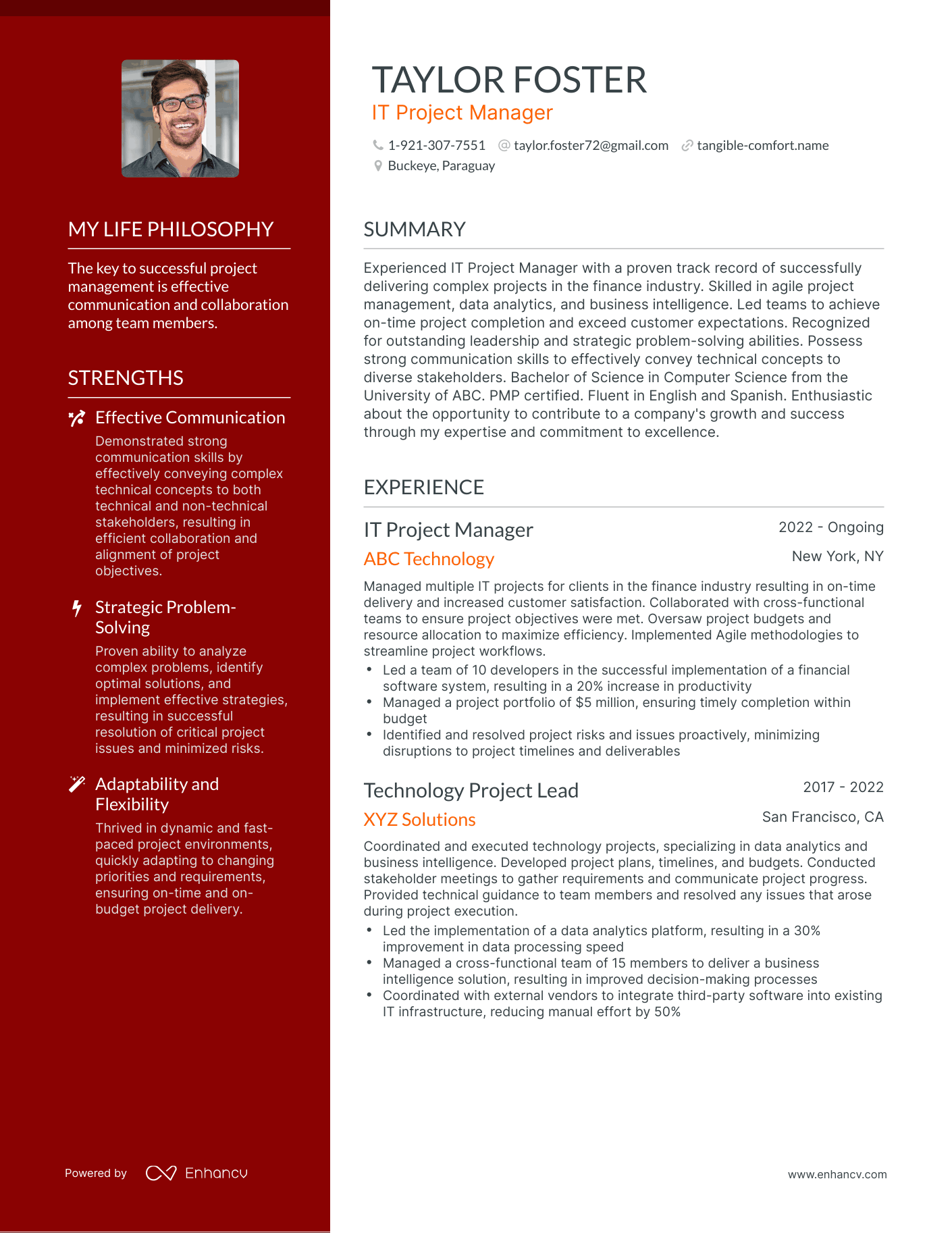 Creative IT Project Manager Resume Example