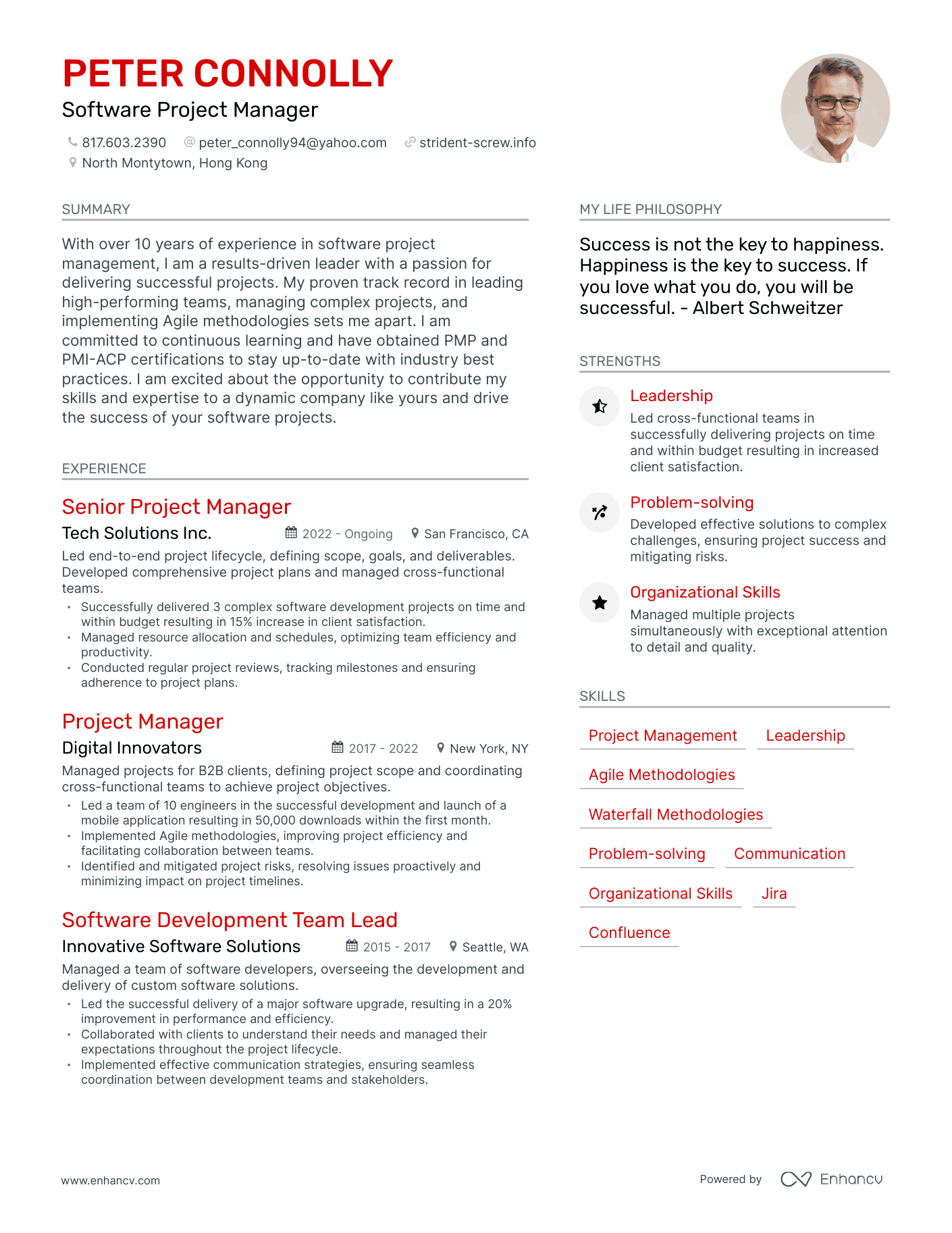 Software Project Manager resume example