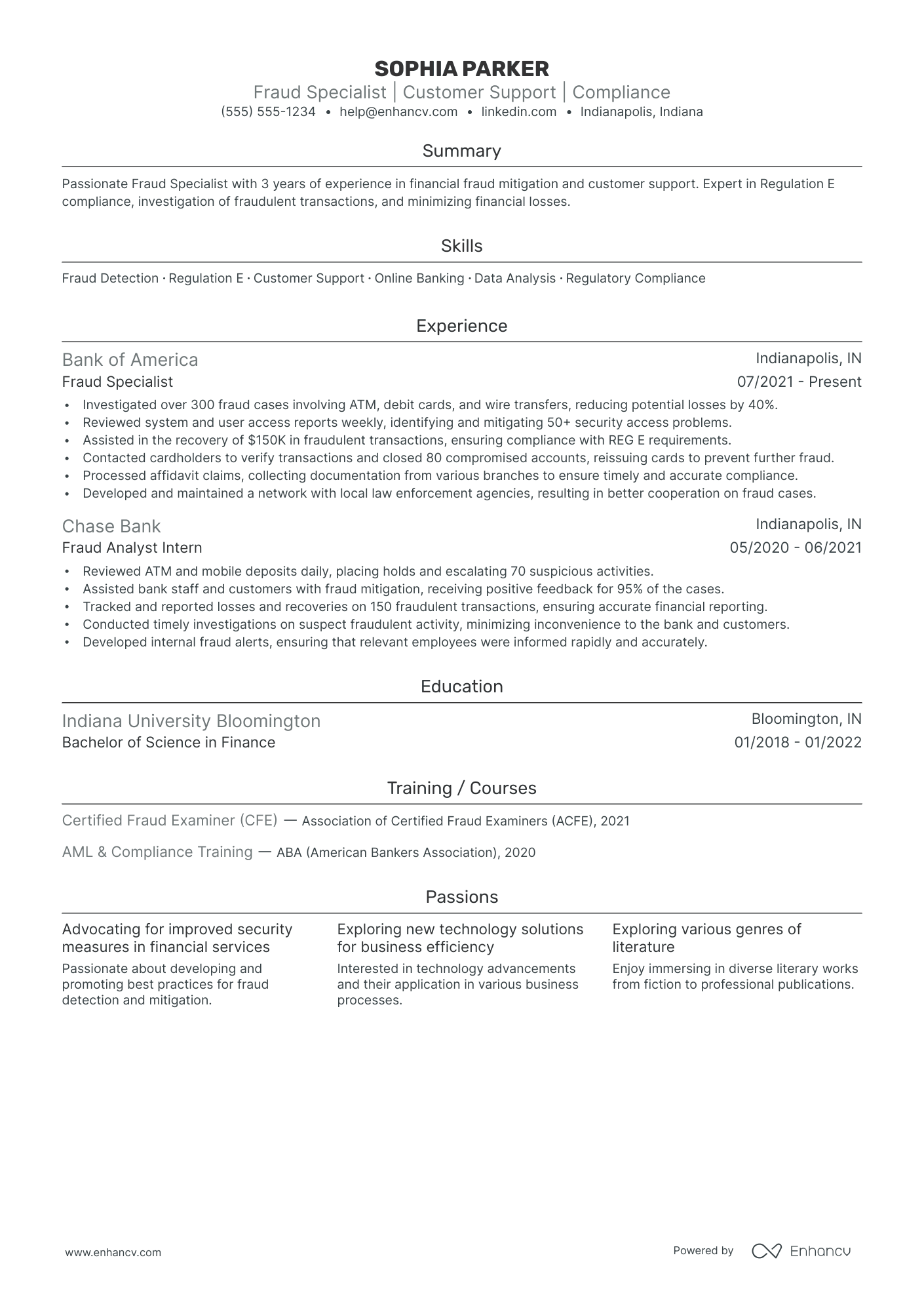 Fraud Analyst resume example