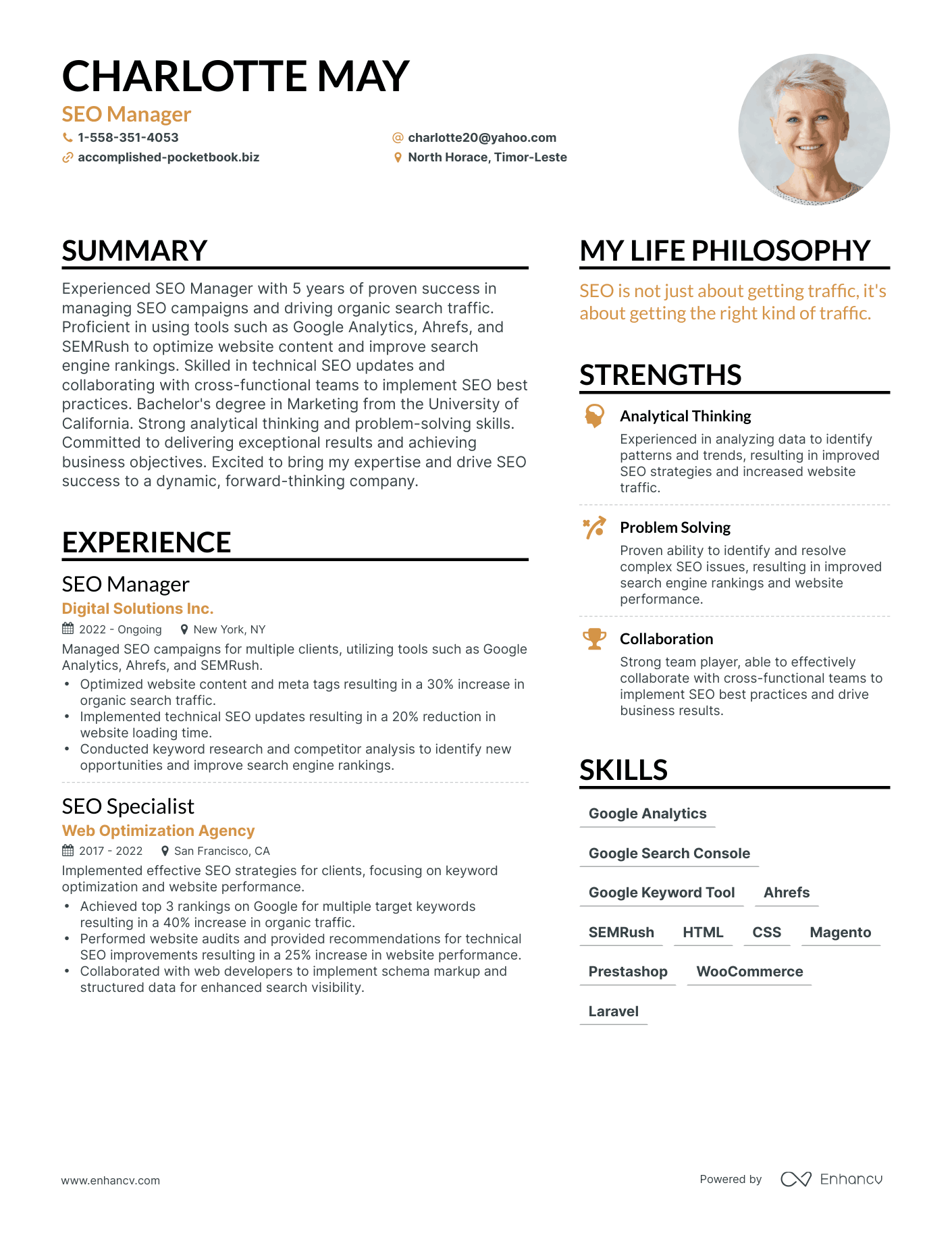 SEO Manager resume example