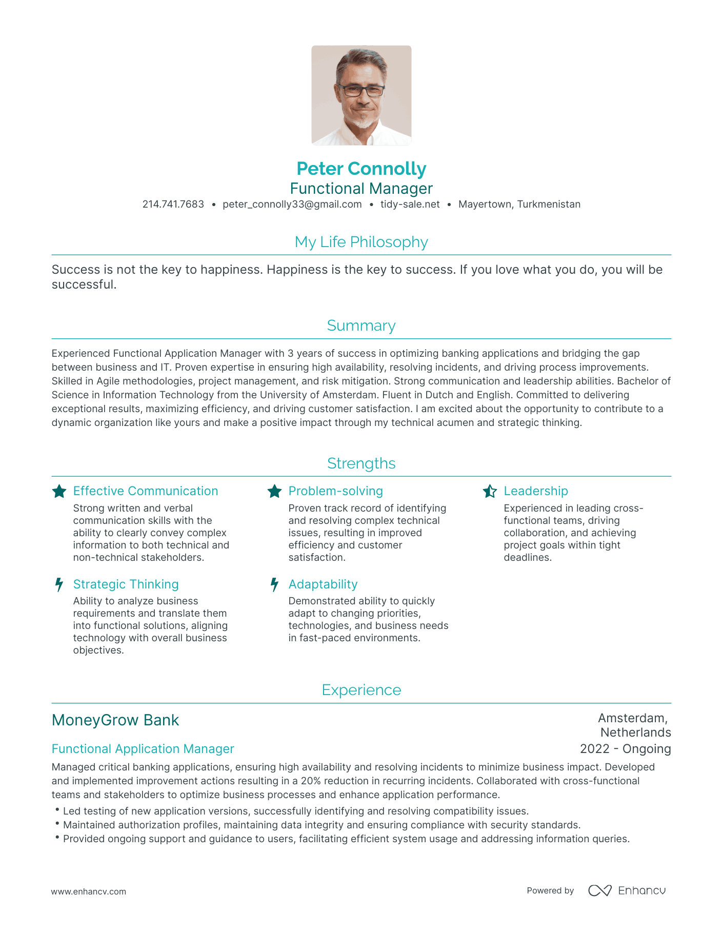 Modern Functional Manager Resume Example