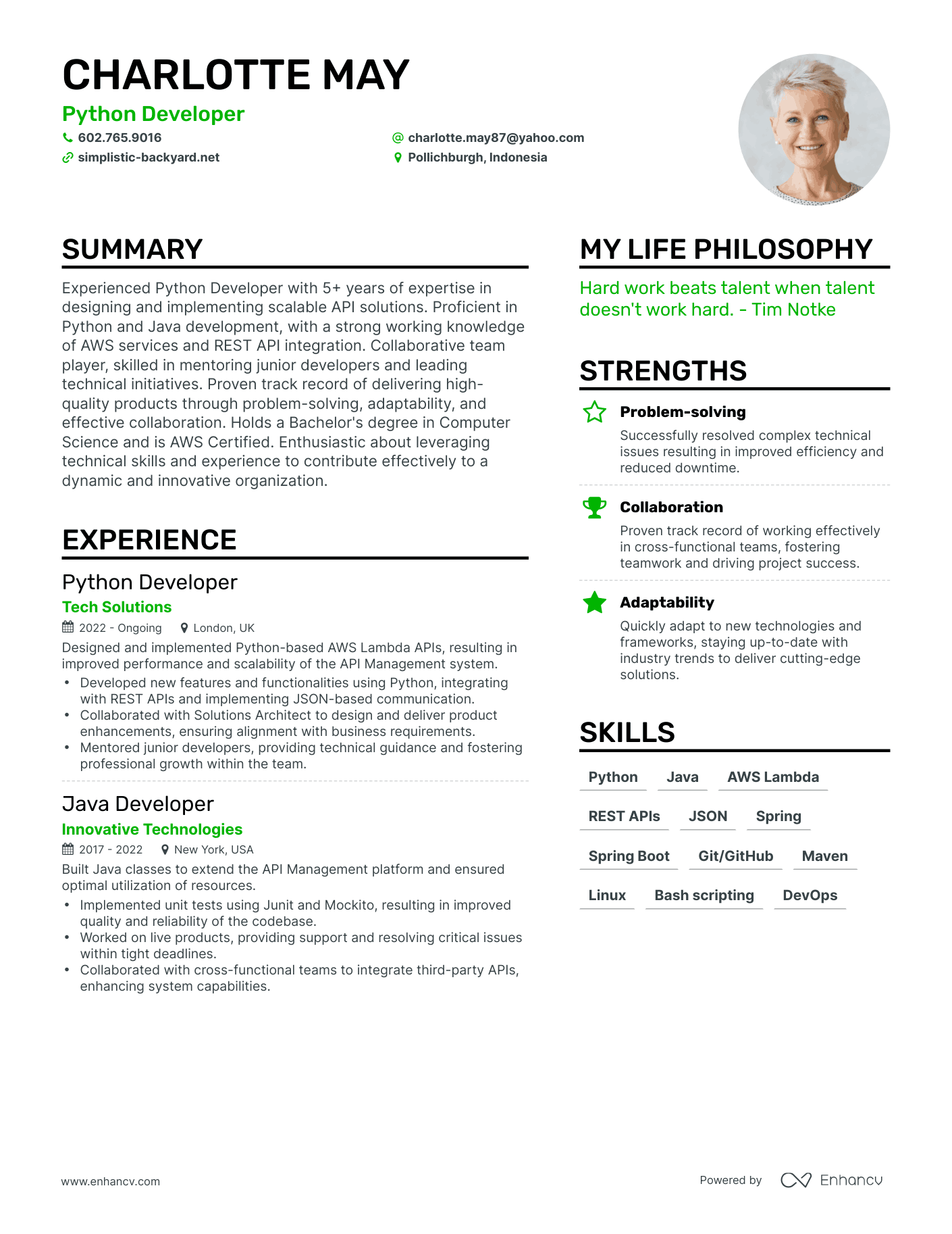 Python Developer resume example
