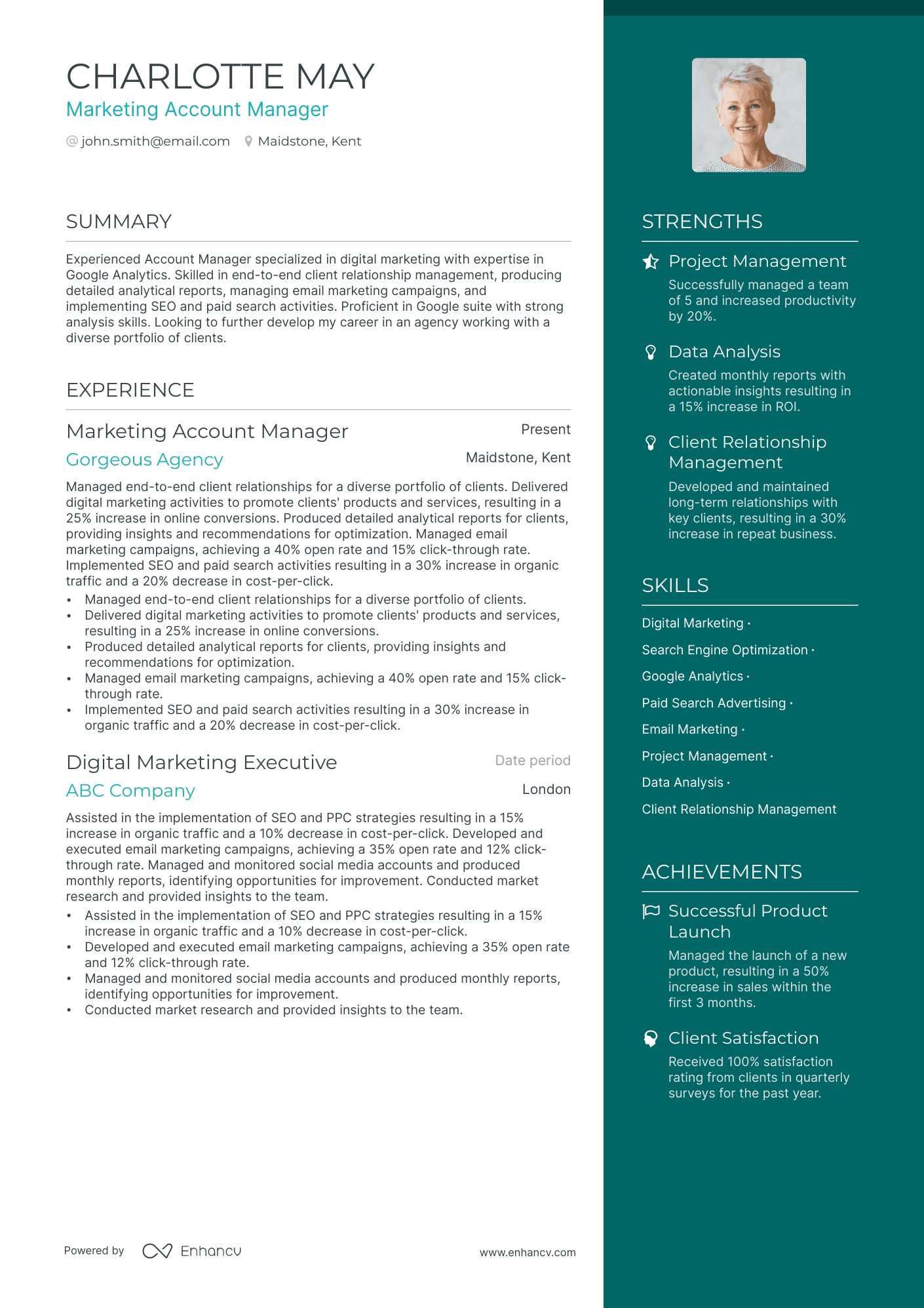 marketing account manager resume example