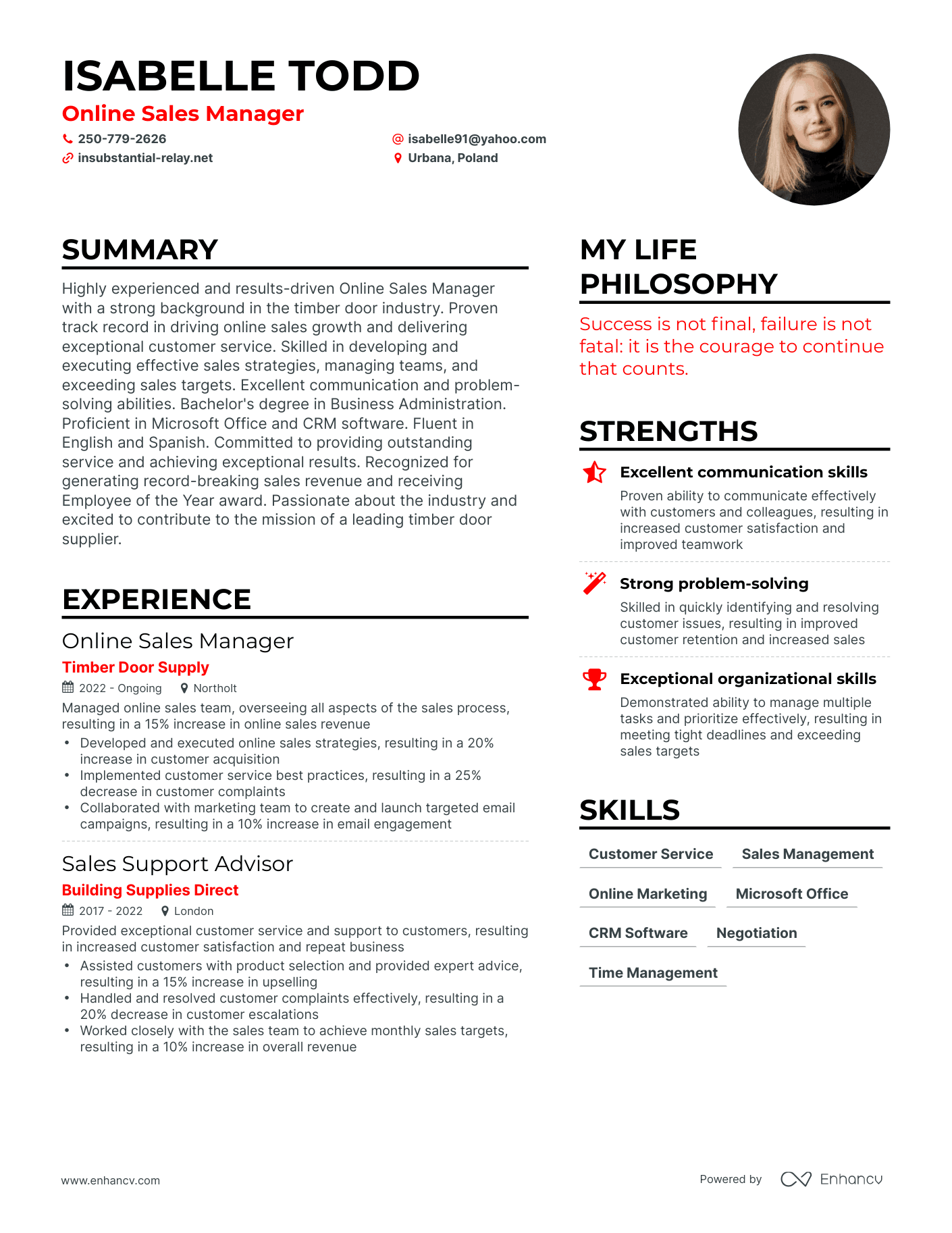 Online Sales Manager resume example