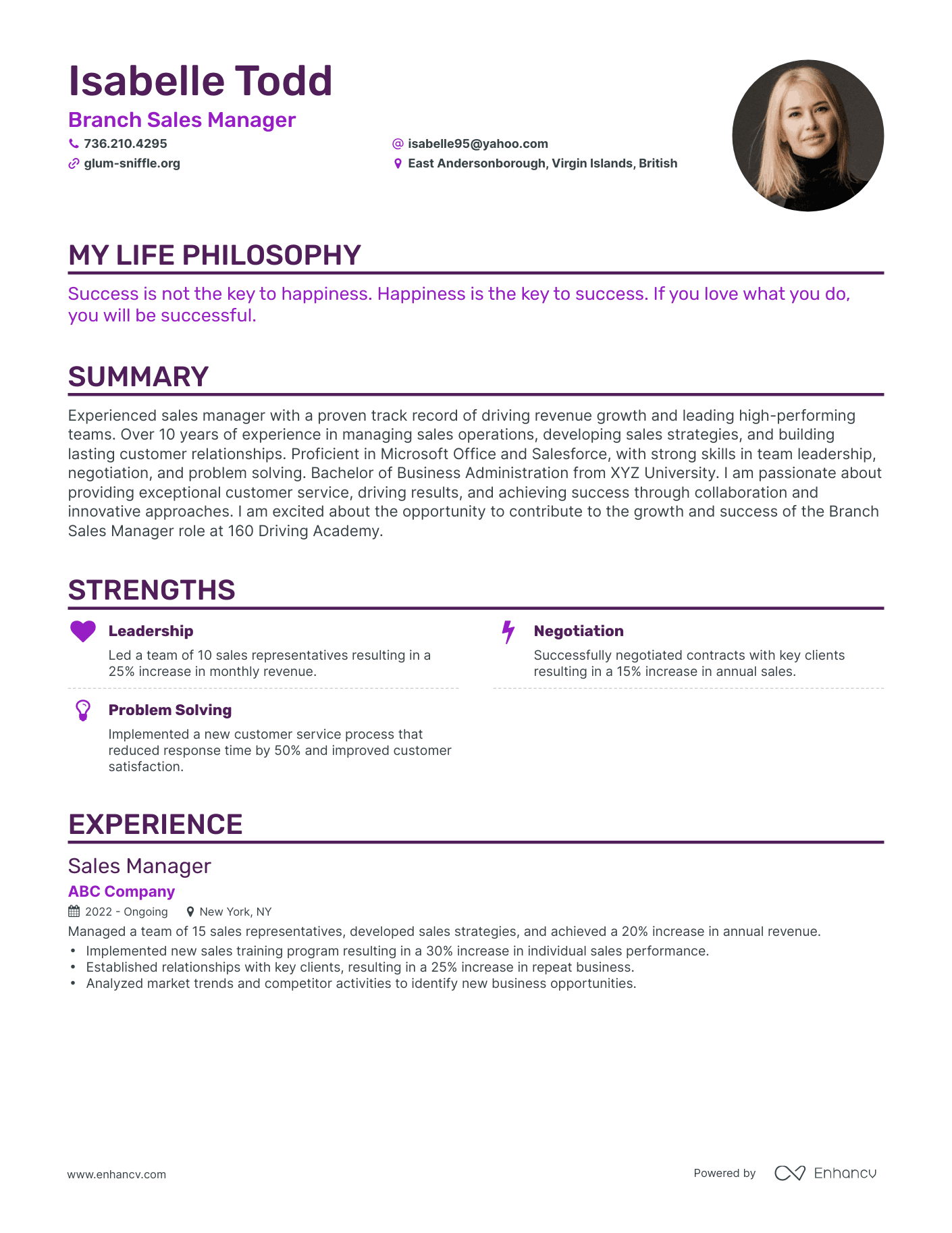 Creative Branch Sales Manager Resume Example