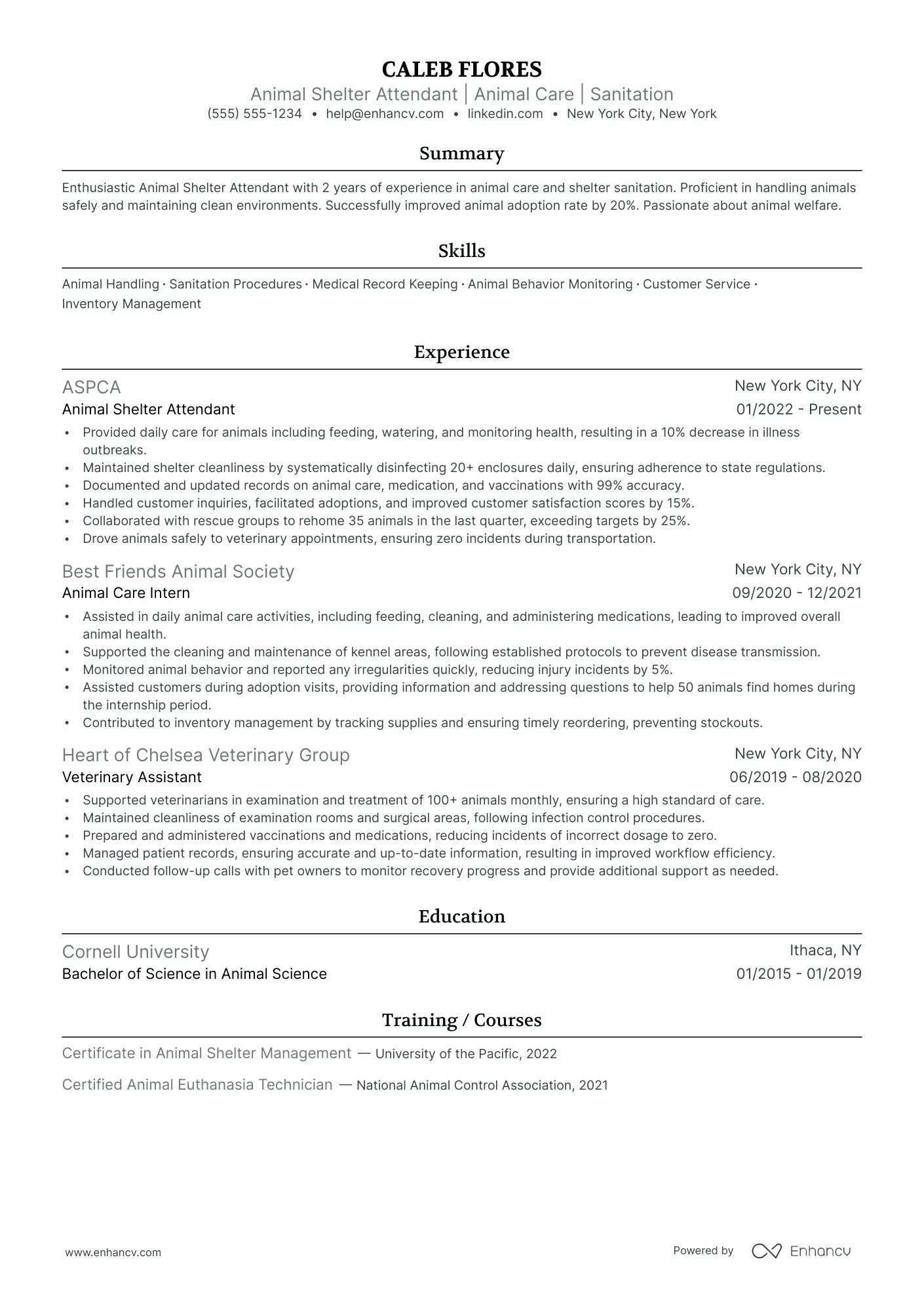 Animal Shelter Volunteer resume example