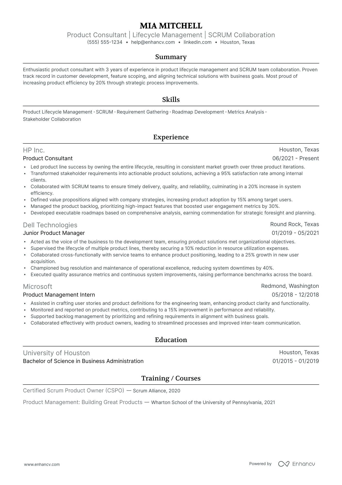 Business Product Owner Resume Example Resume Example