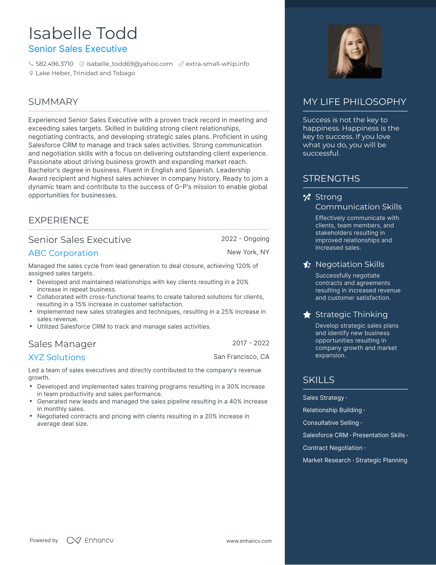 3 Successful Senior Sales Executive Resume Examples And Writing Tips 