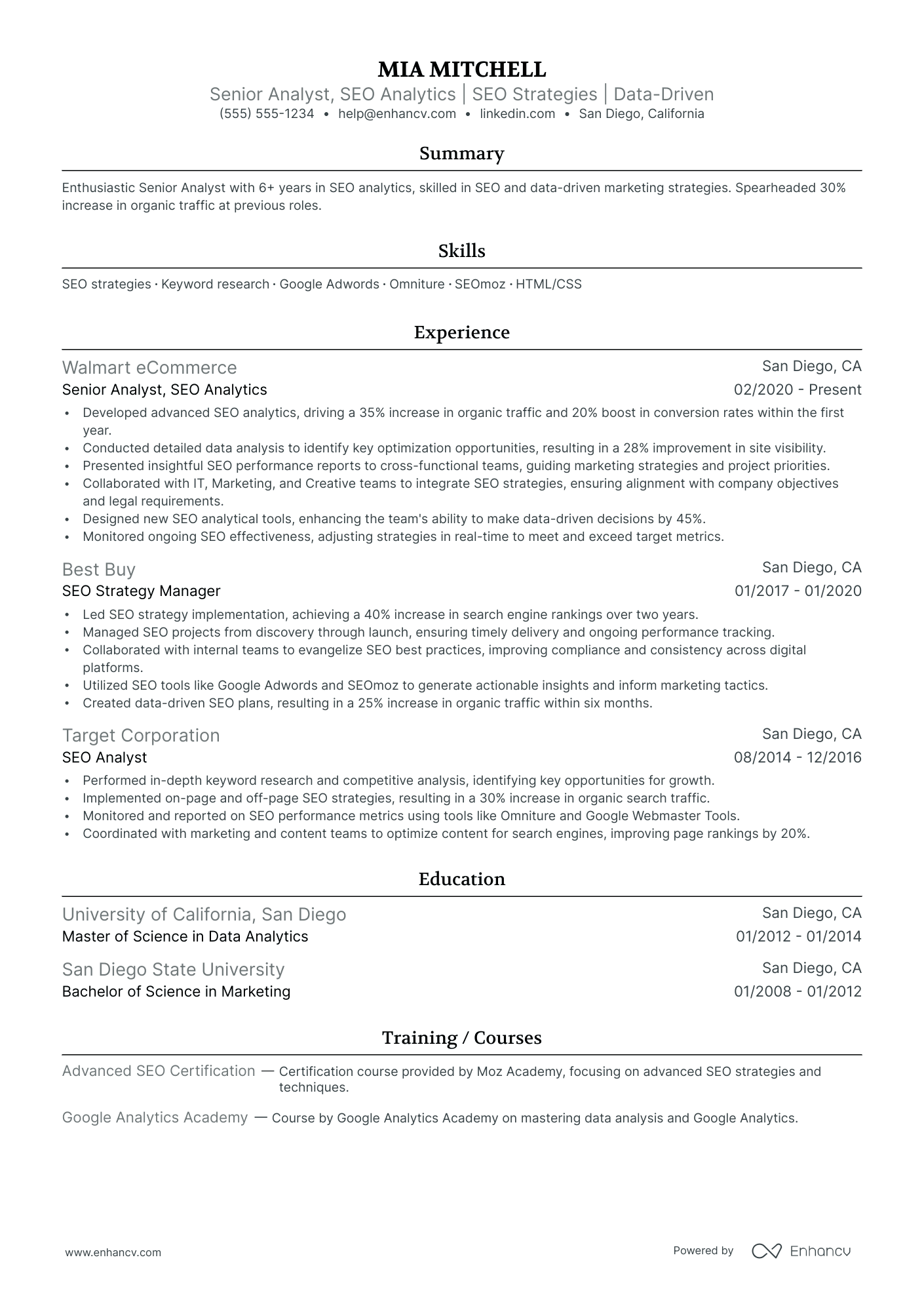 Junior SEO Analyst resume example