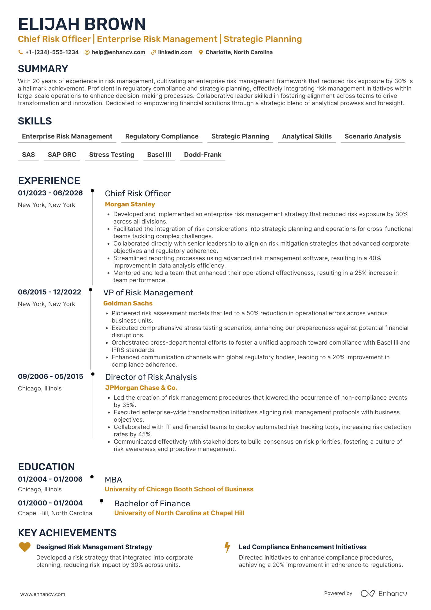 Chief Risk Officer resume example