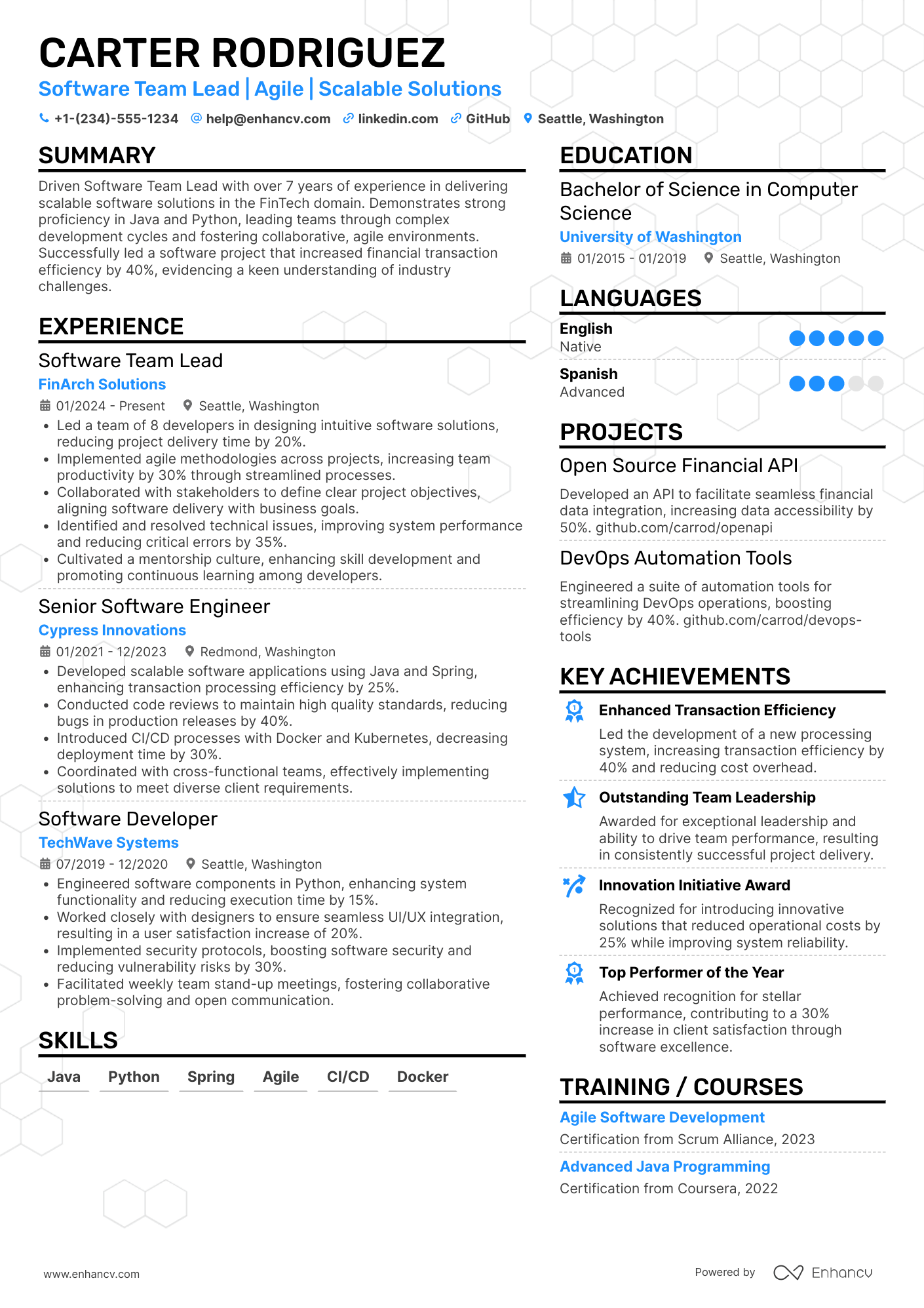 Software Team Lead resume example