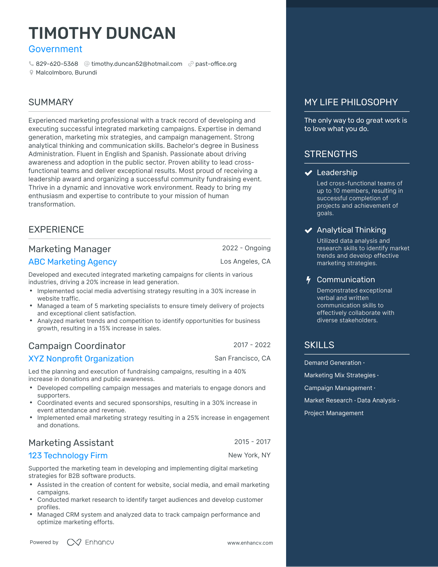 Government resume example