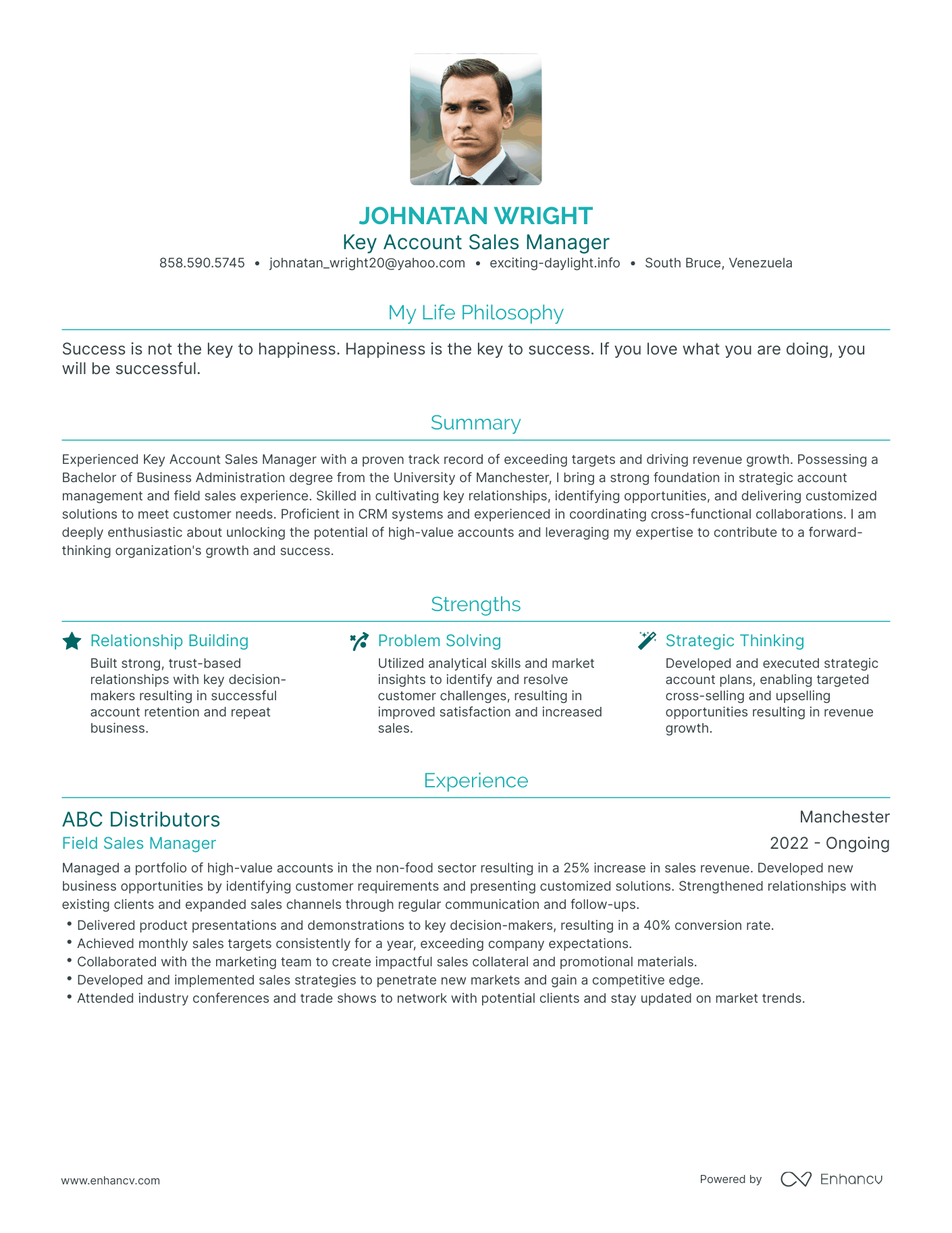 Modern Key Account Sales Manager Resume Example