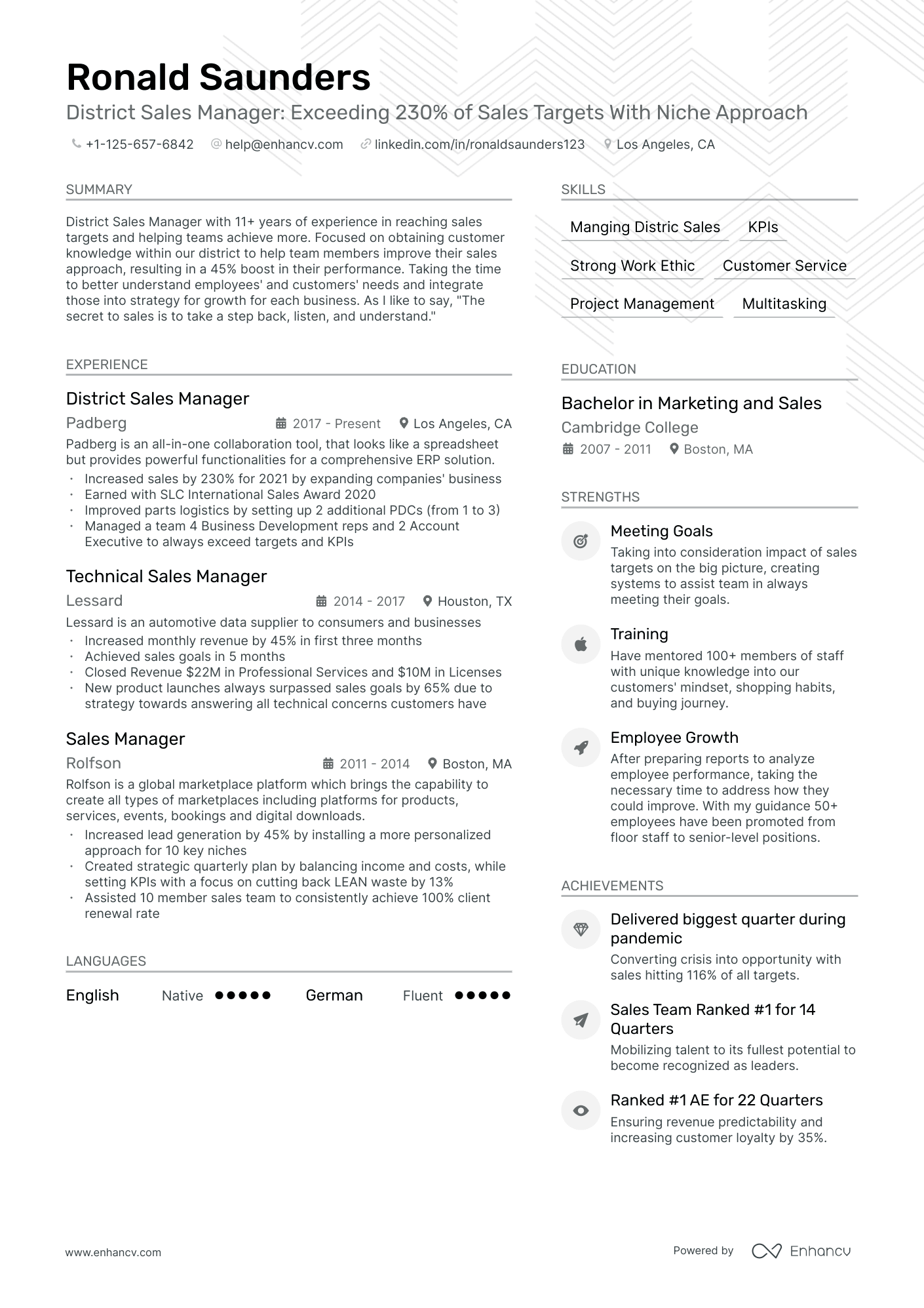 District Sales Manager resume example