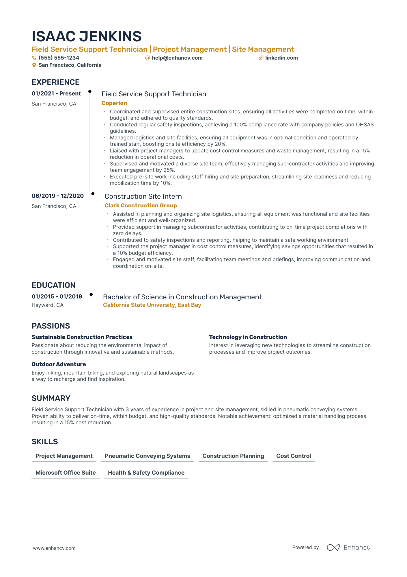 Field Service Technician Team Leader resume example