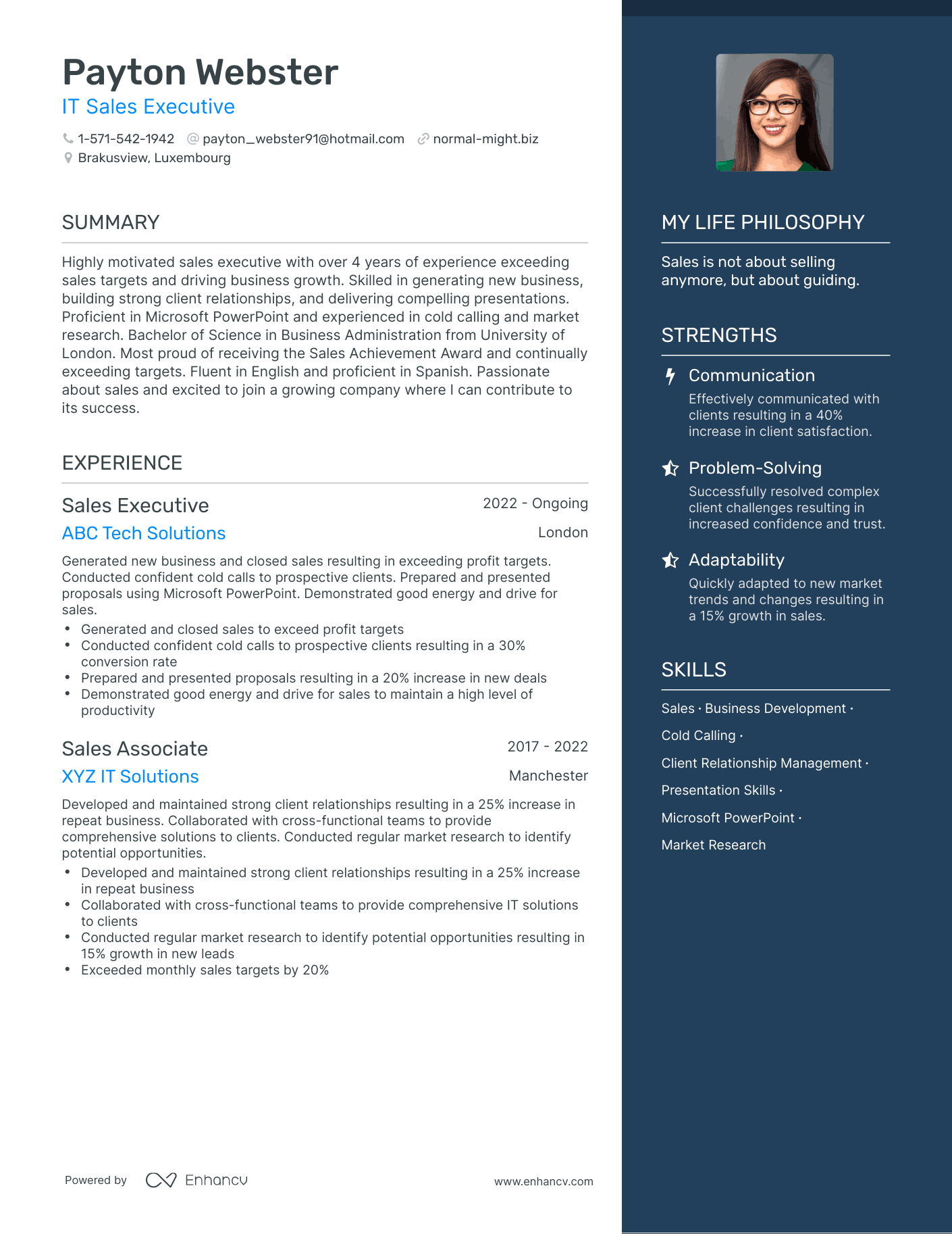 Modern IT Sales Executive Resume Example