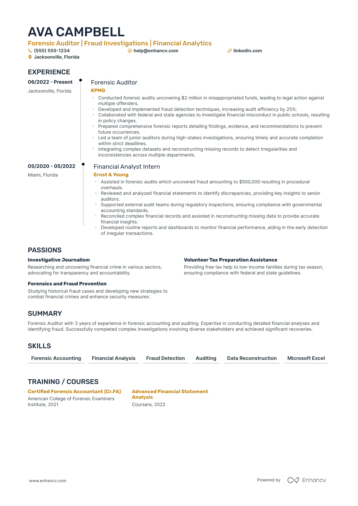 Forensic Auditor resume example