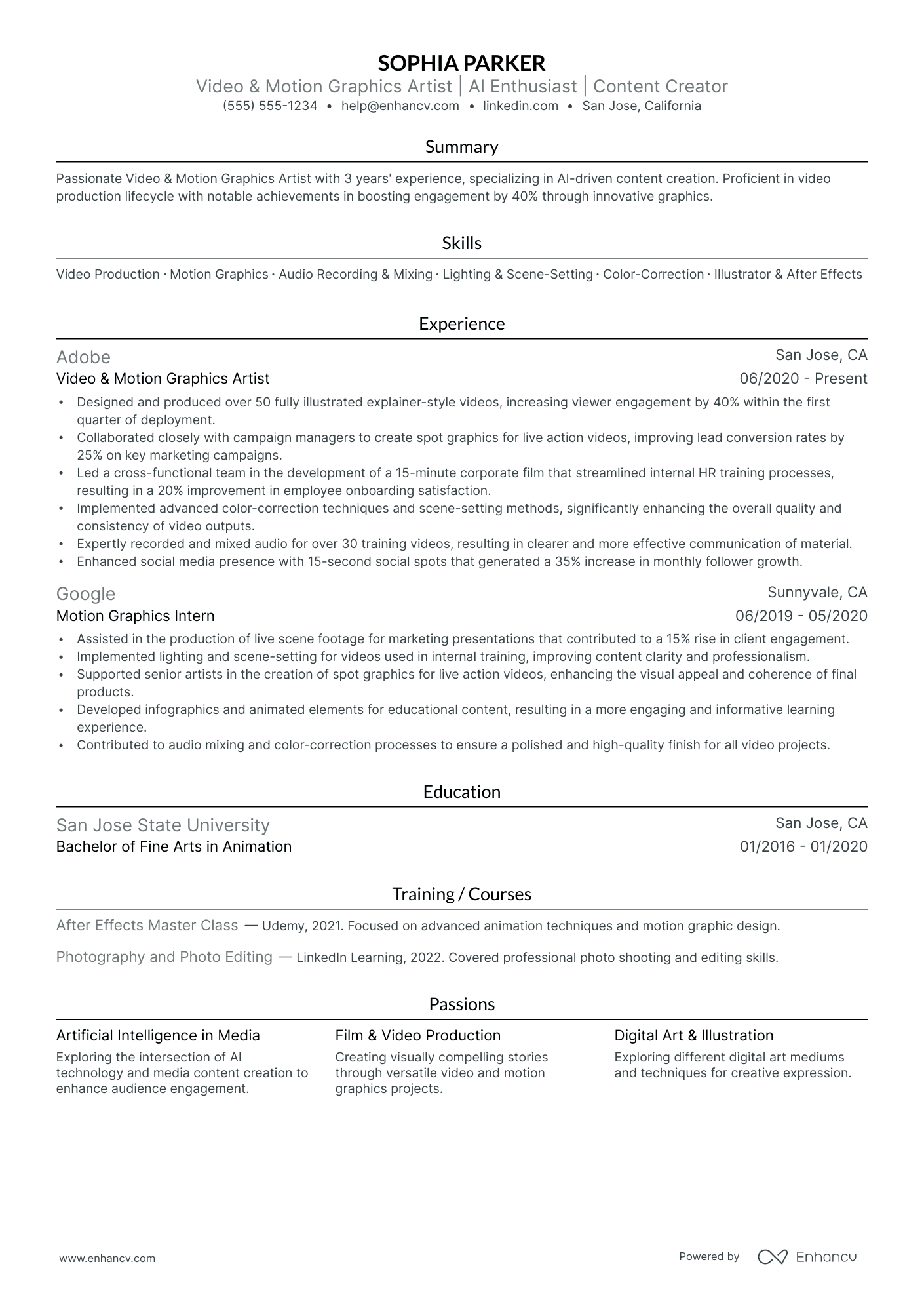 Stop Motion Animator resume example