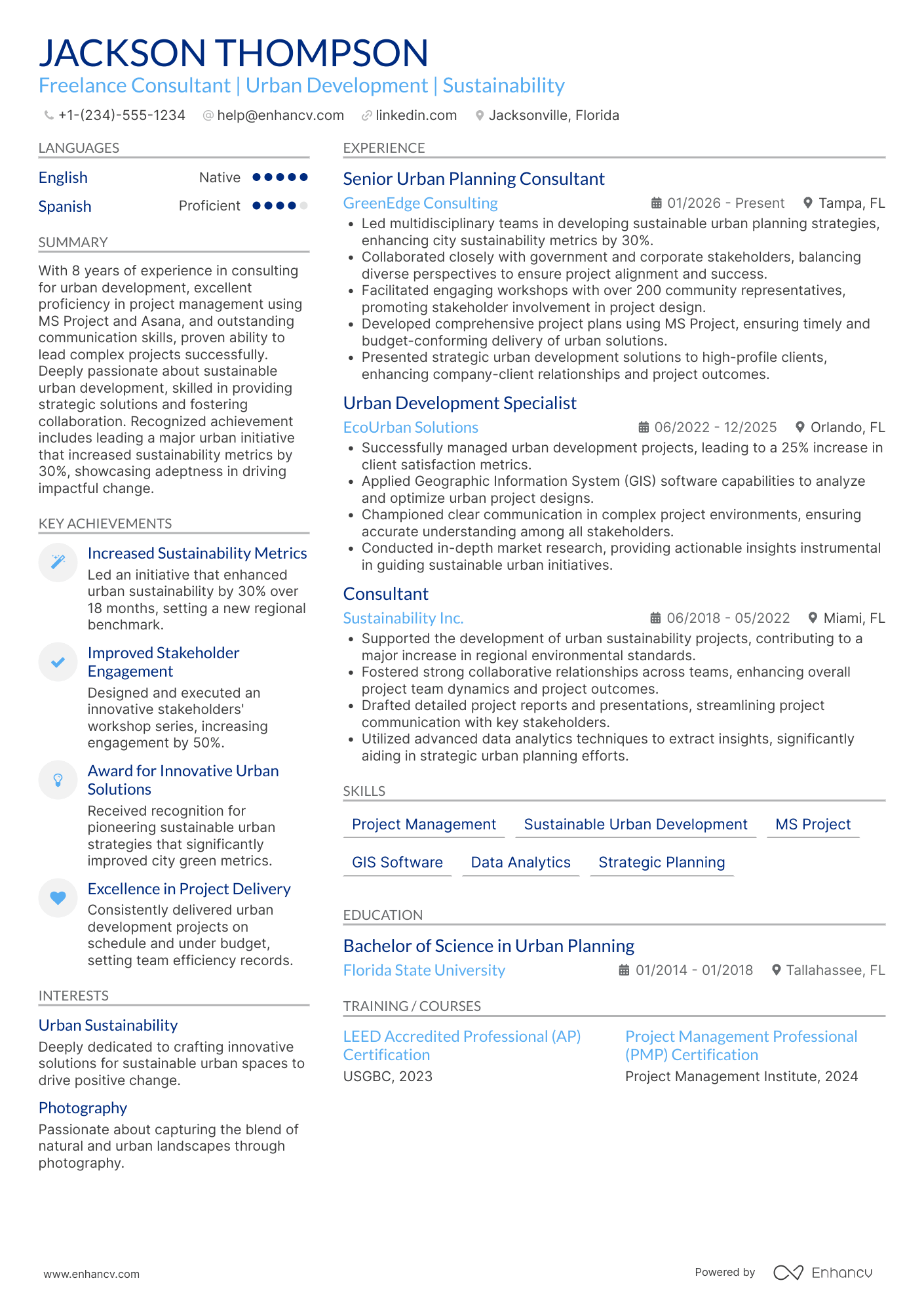 Freelance Consultant resume example