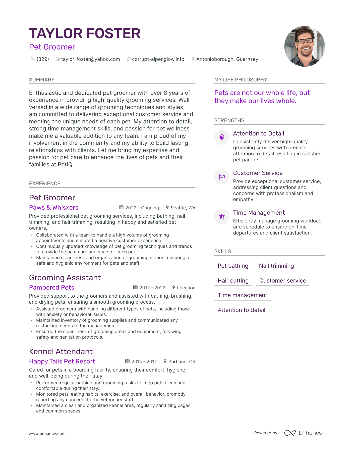 Pet Groomer resume example