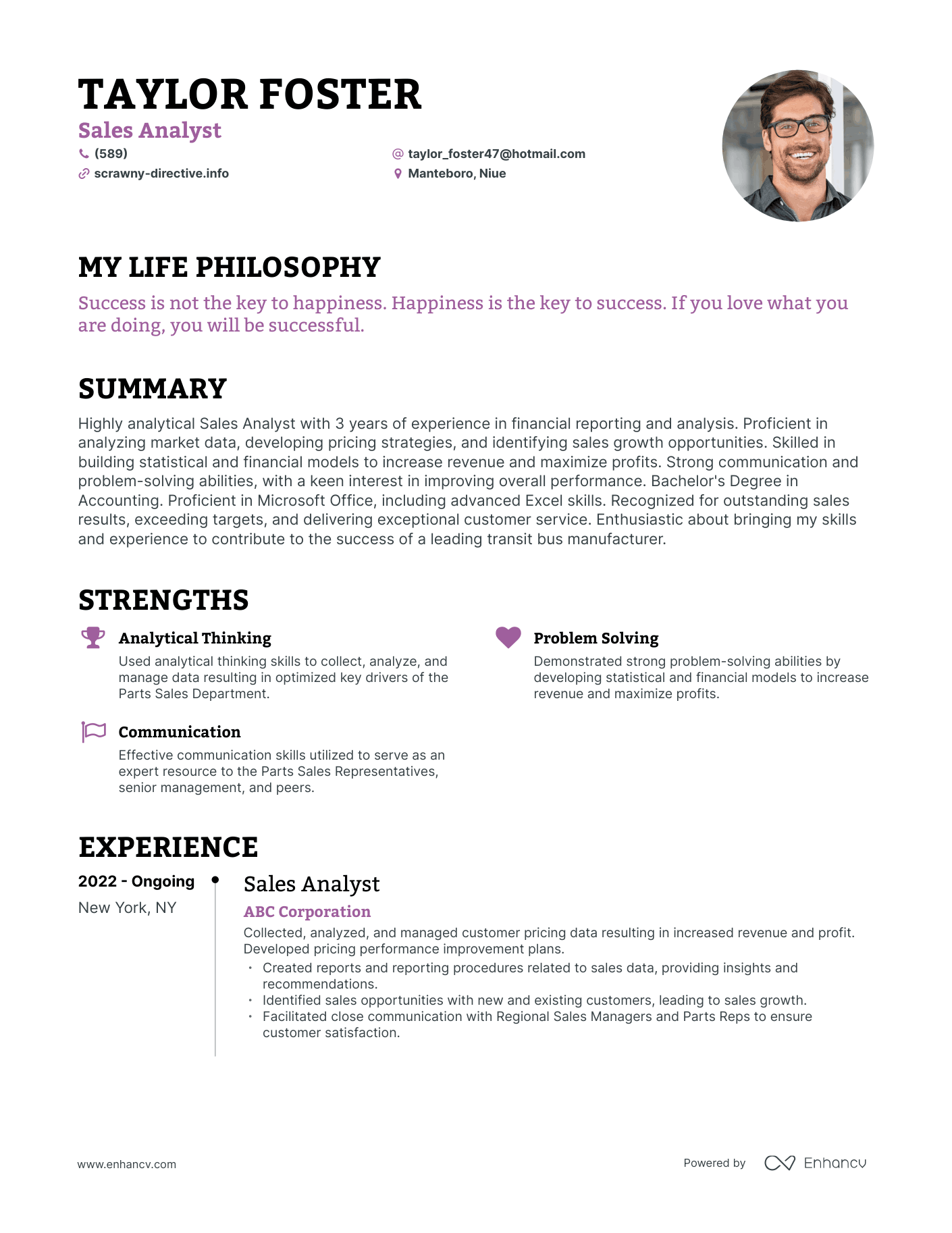 Creative Sales Analyst Resume Example