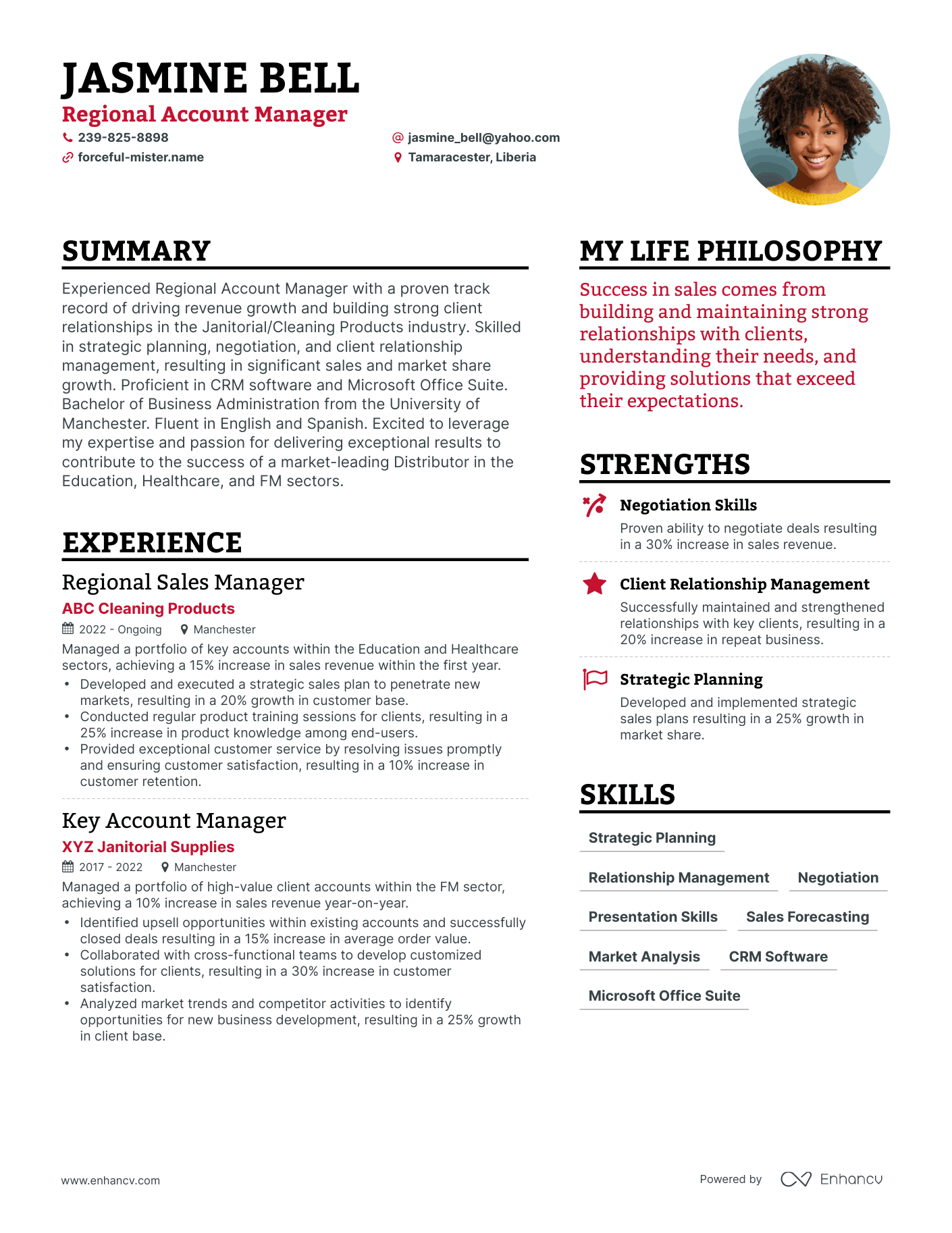 Modern Regional Account Manager Resume Example