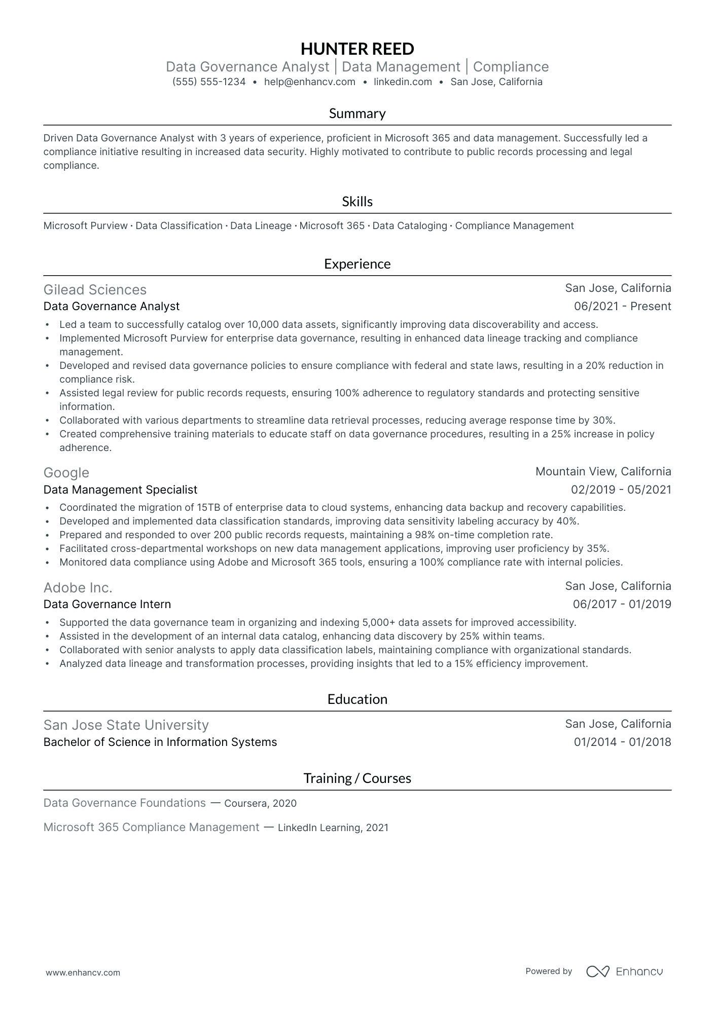 Data Governance Analyst resume example