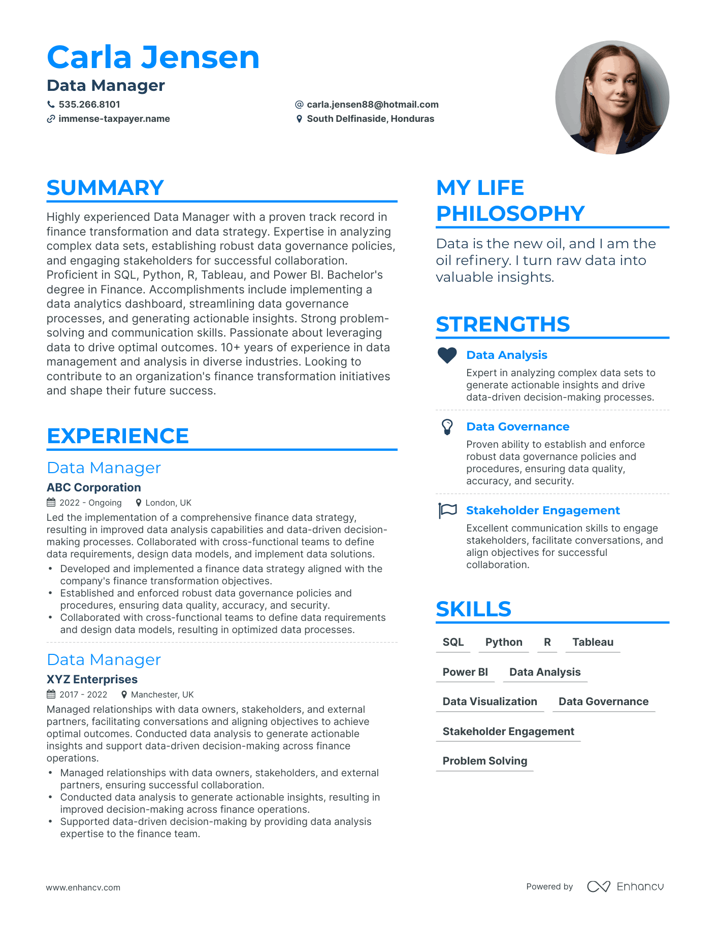 Data Manager resume example