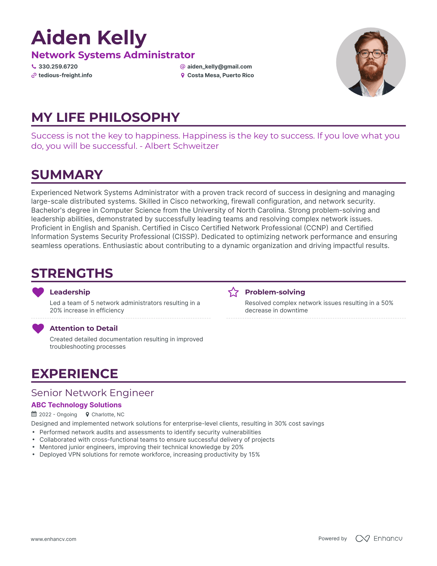 Creative Network Systems Administrator Resume Example
