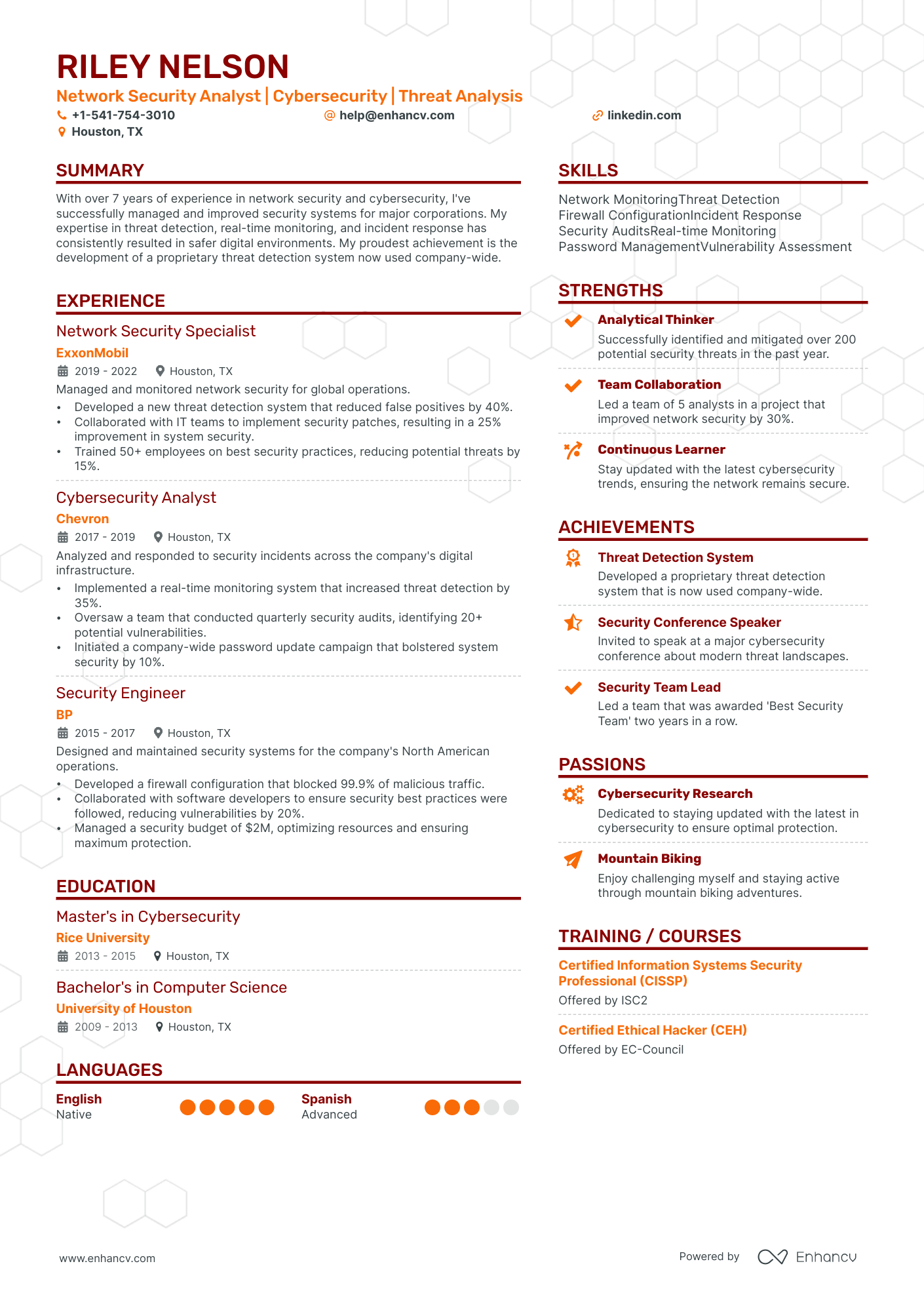 Security Analyst resume example