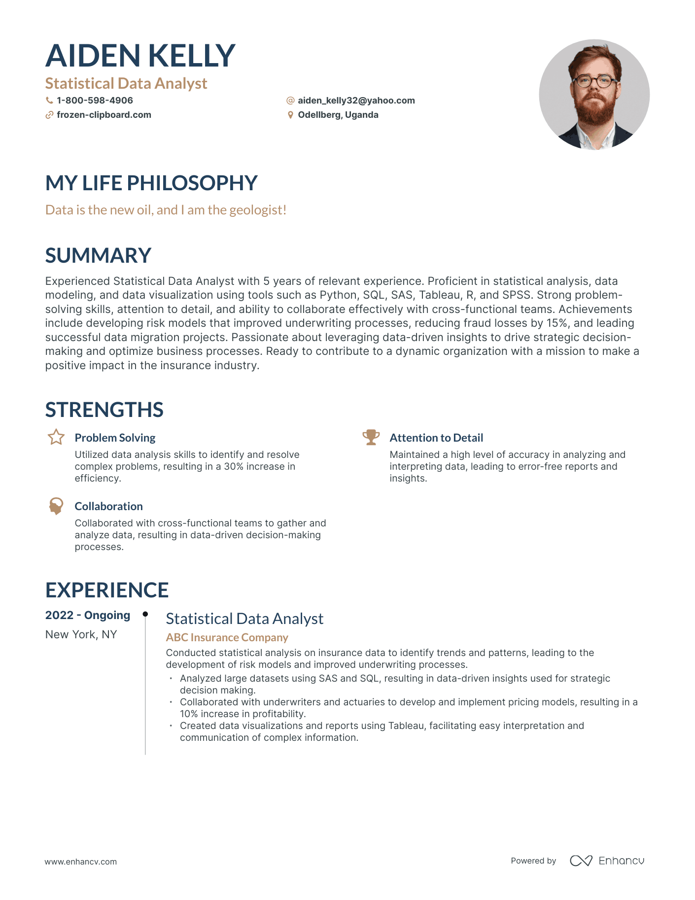 Creative Statistical Data Analyst Resume Example