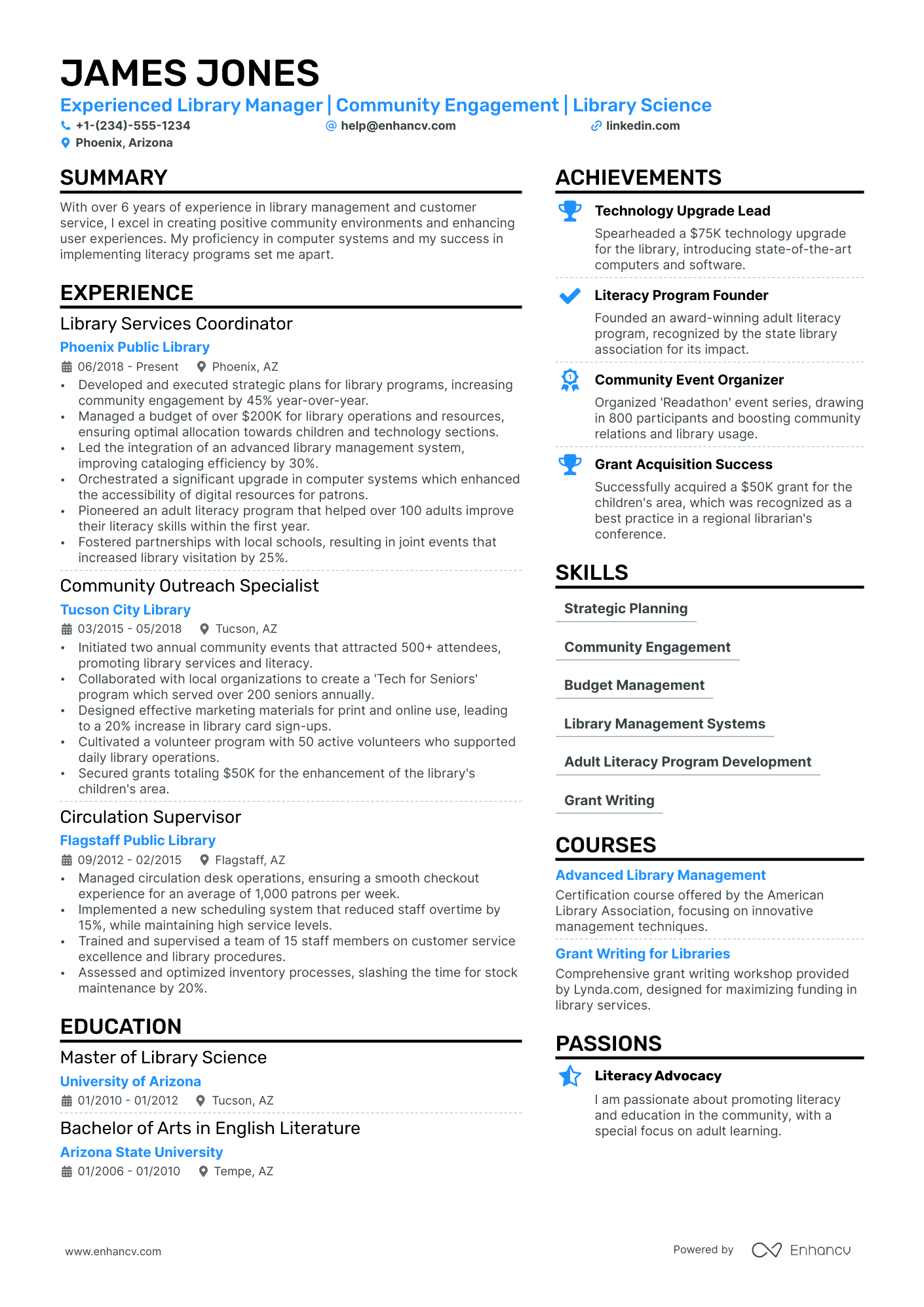 Library Director resume example