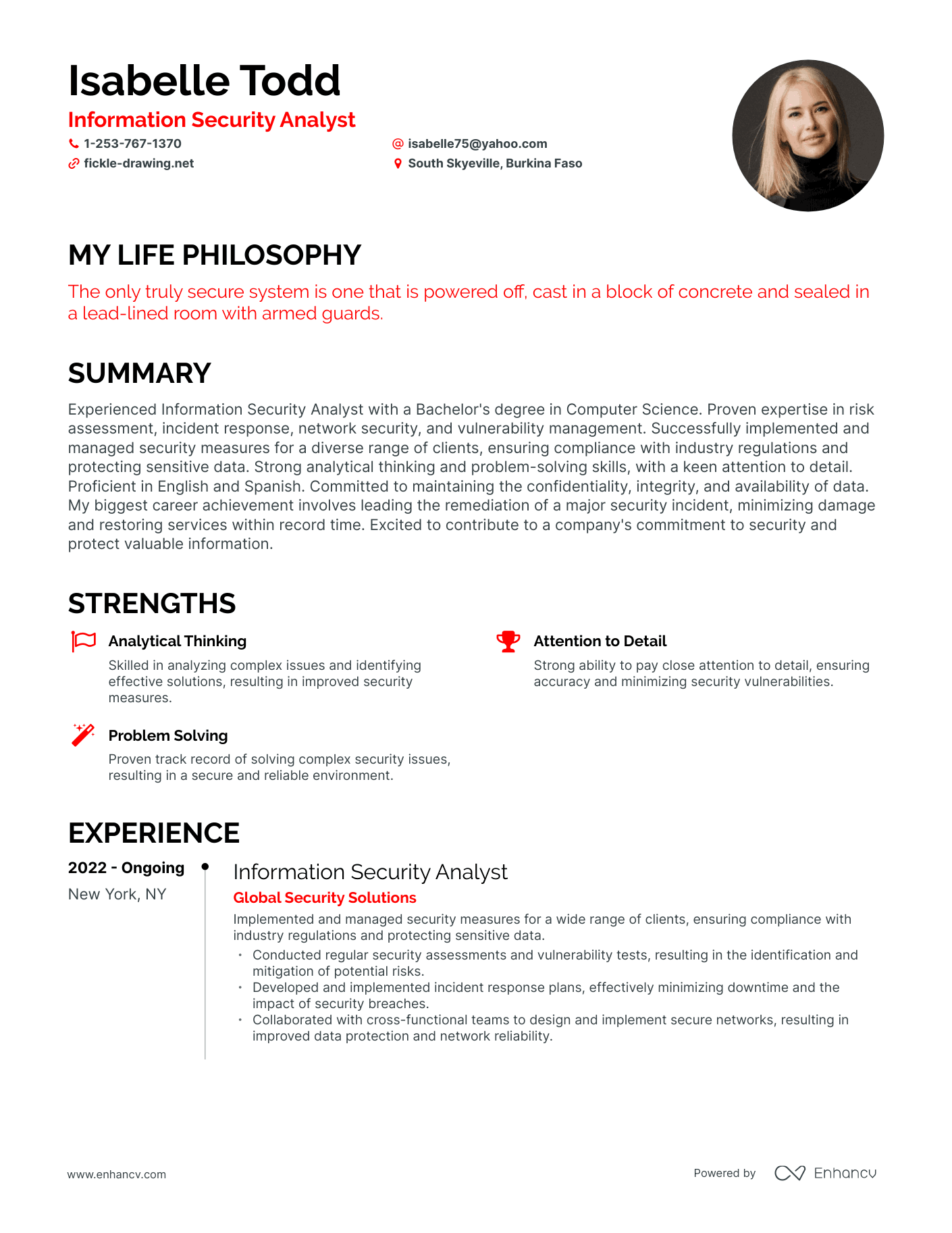 Creative Information Security Analyst Resume Example