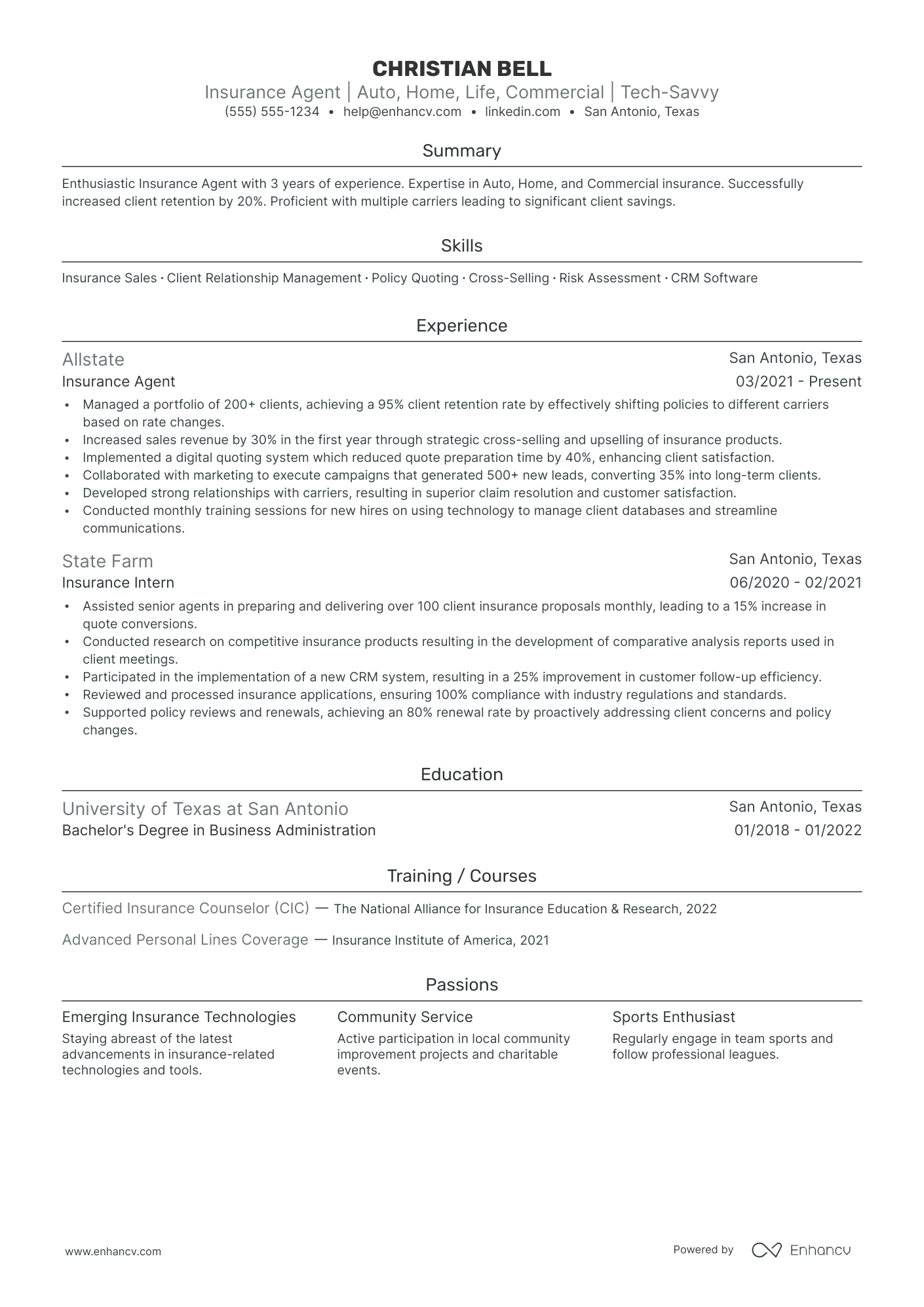 Auto Insurance Agent resume example