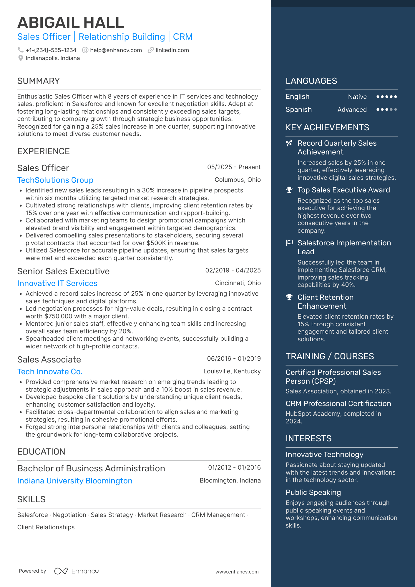 Sales Officer resume example