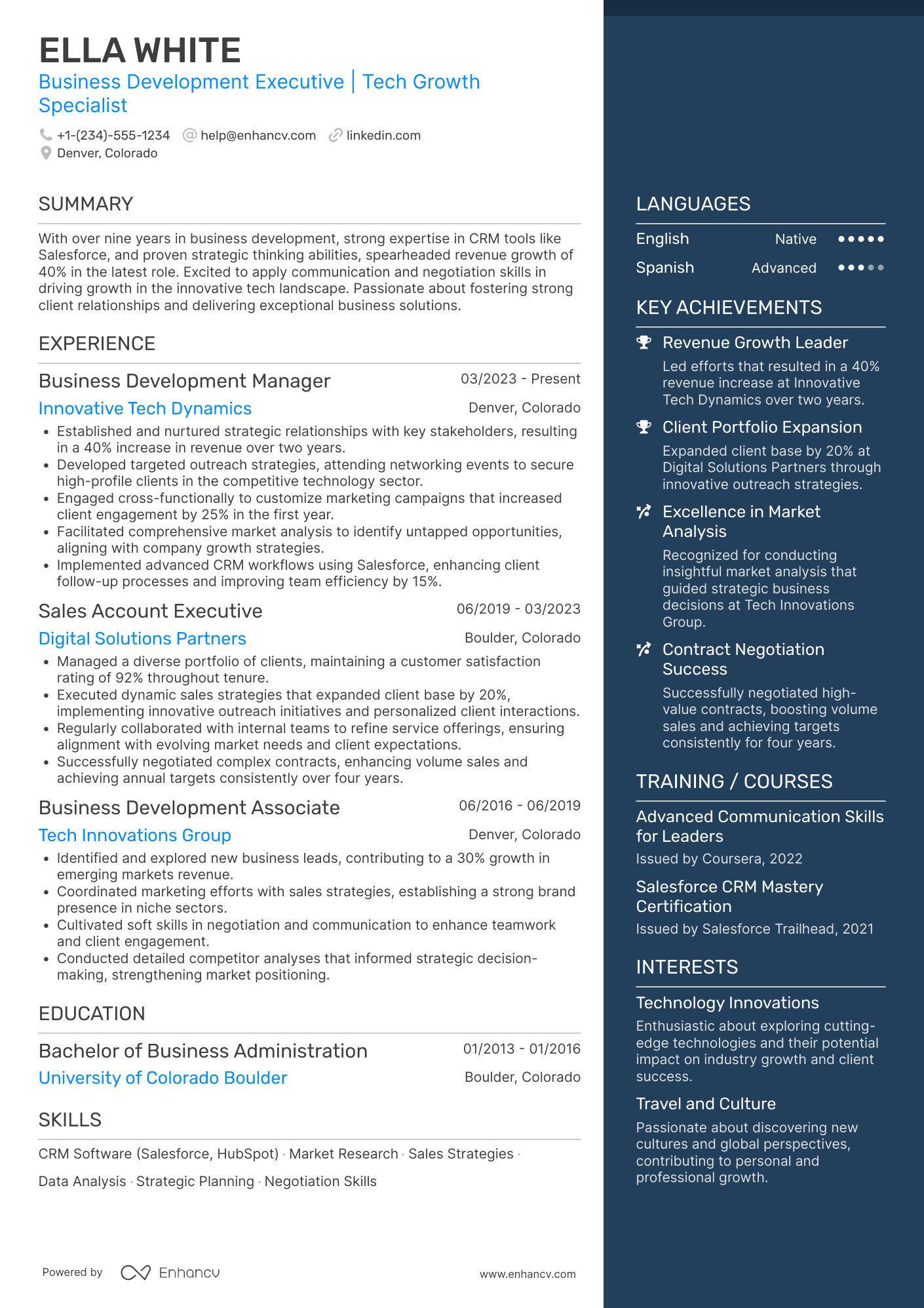 Business Development Executive resume example