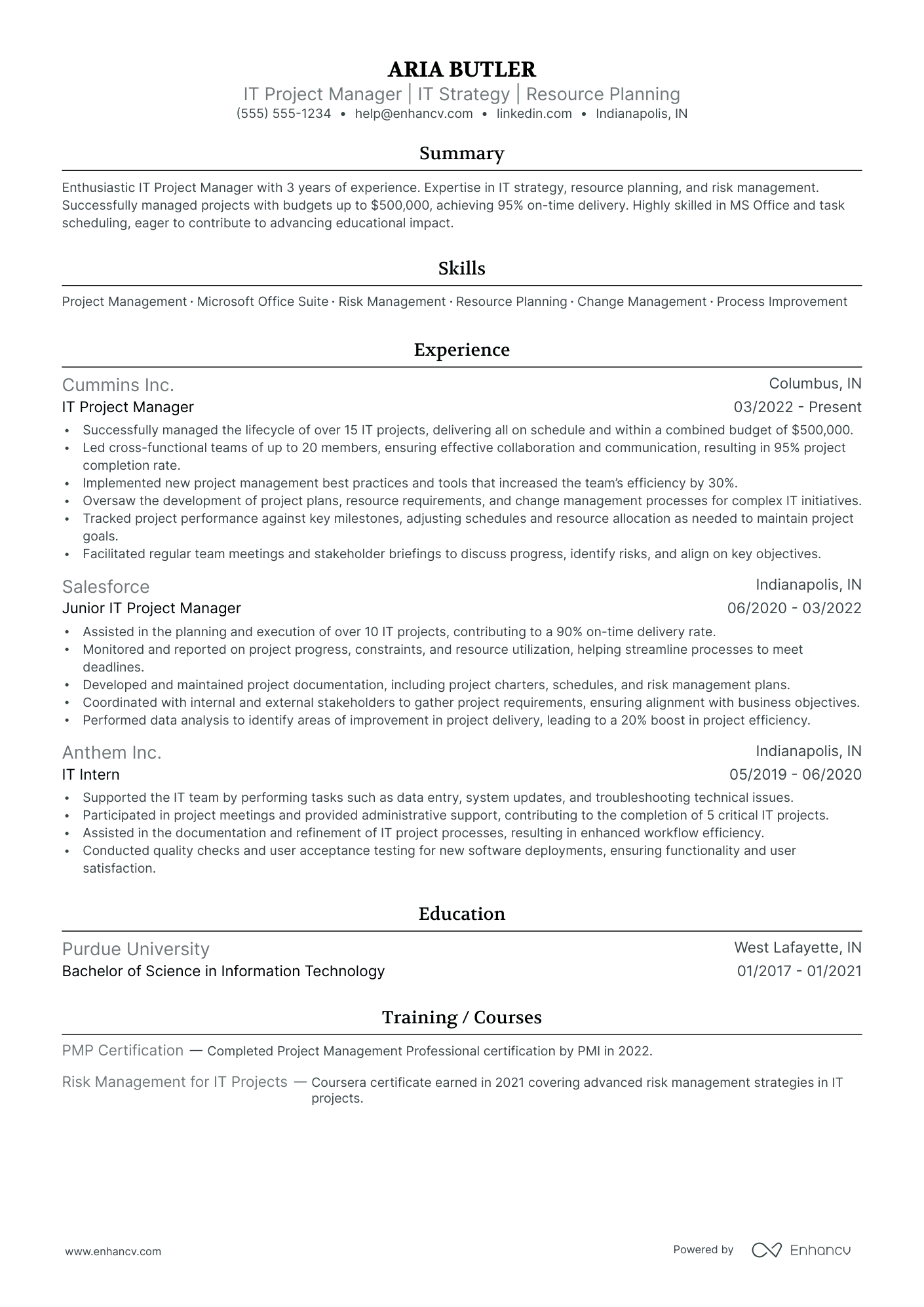 Technology Project Manager resume example