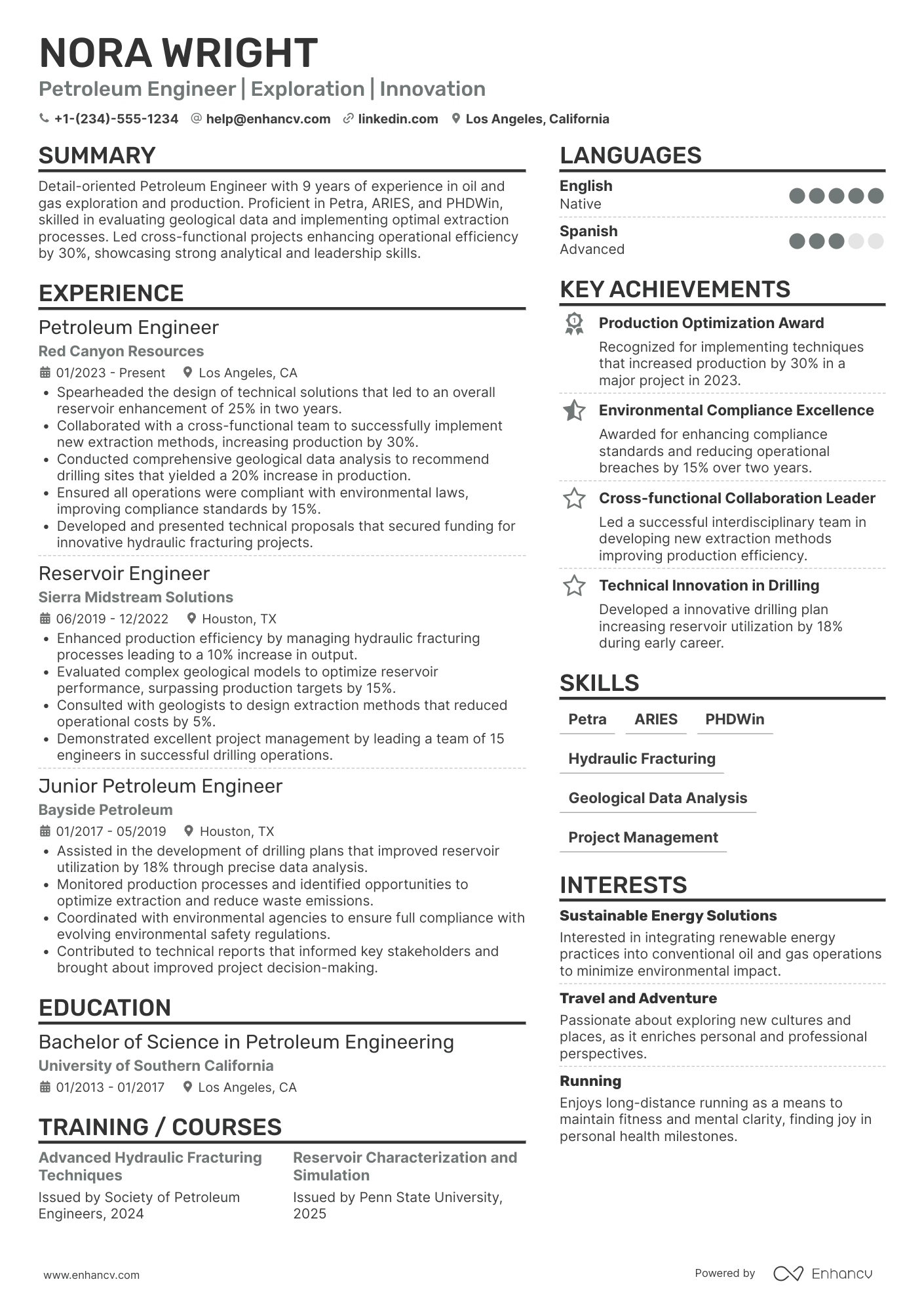Petroleum Engineer resume example