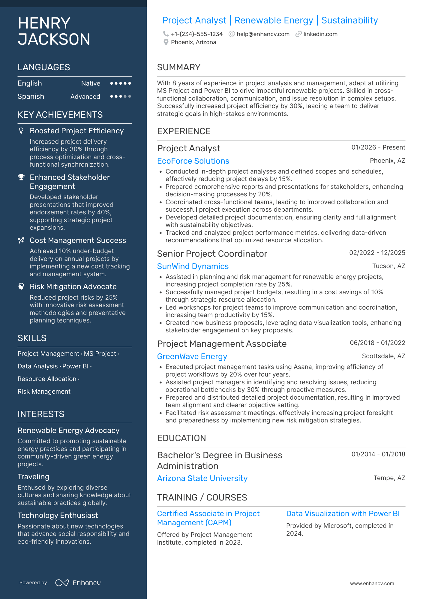 Project Analyst resume example