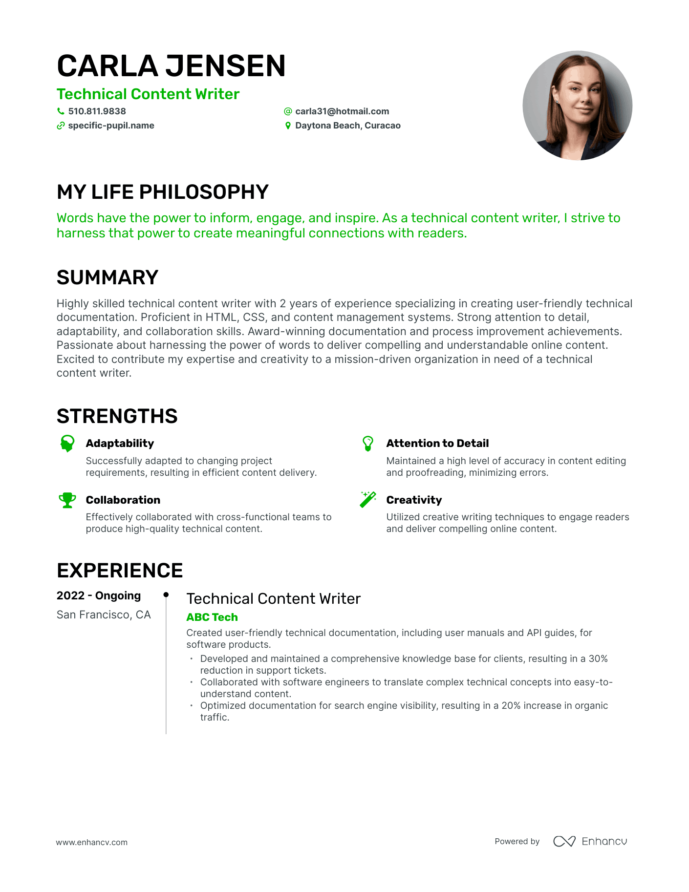 Creative Technical Content Writer Resume Example
