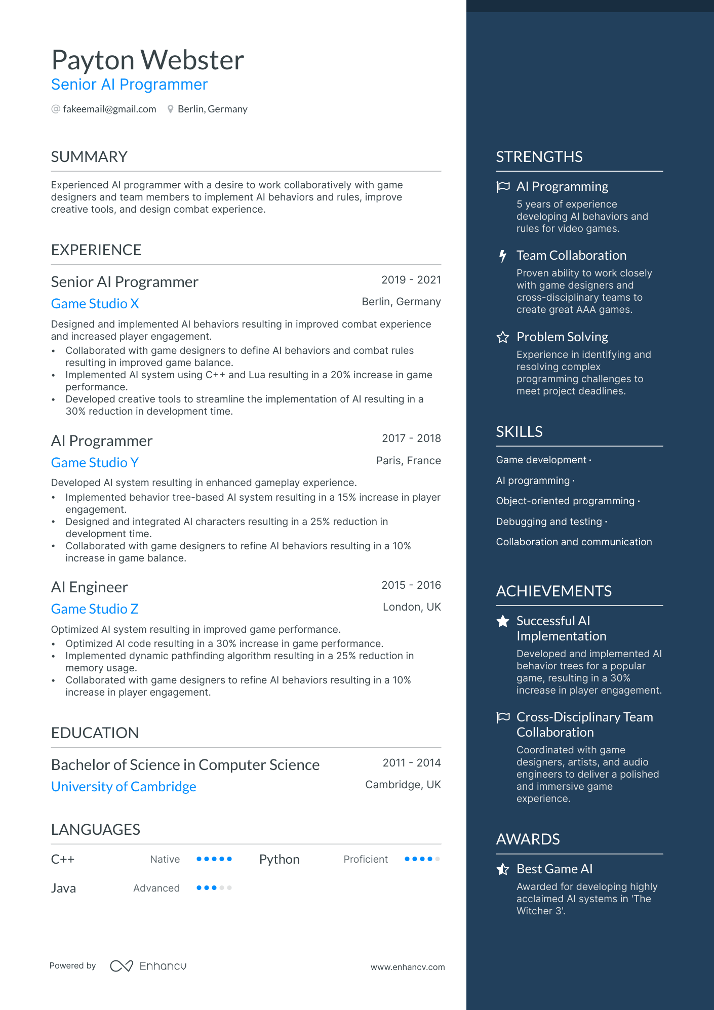 Freelance Programmer resume example