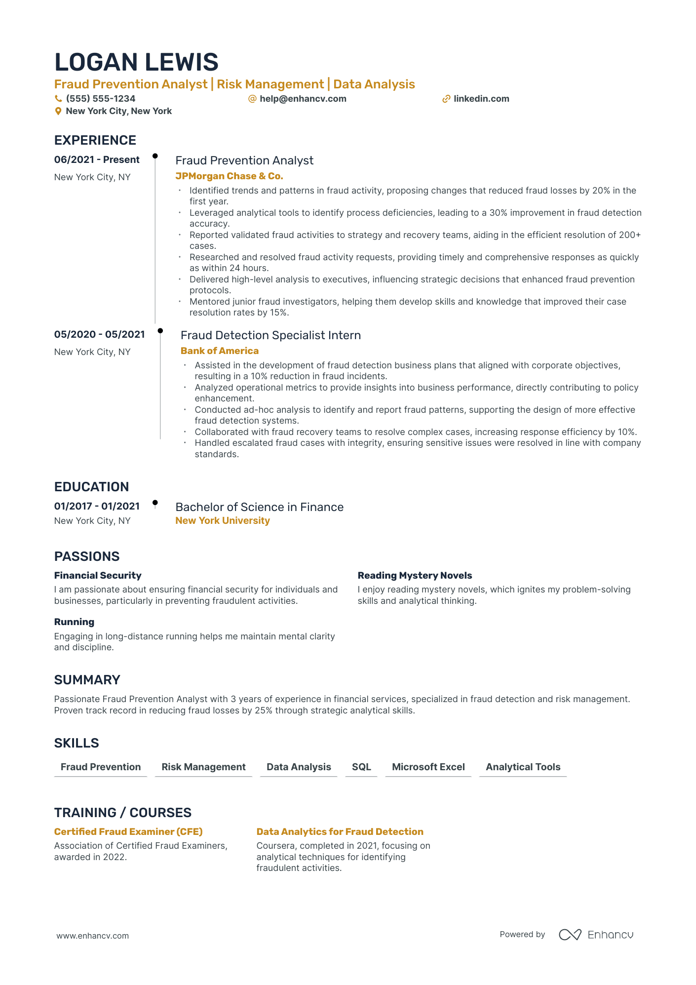 Fraud Detection Analyst resume example