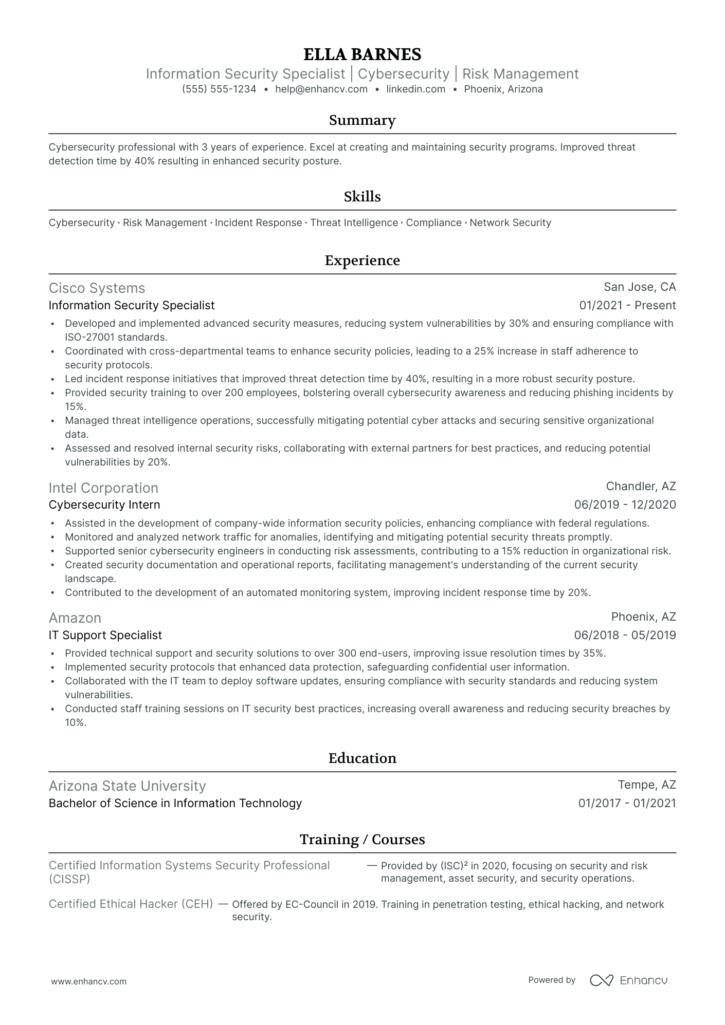 Chief Information Officer resume example